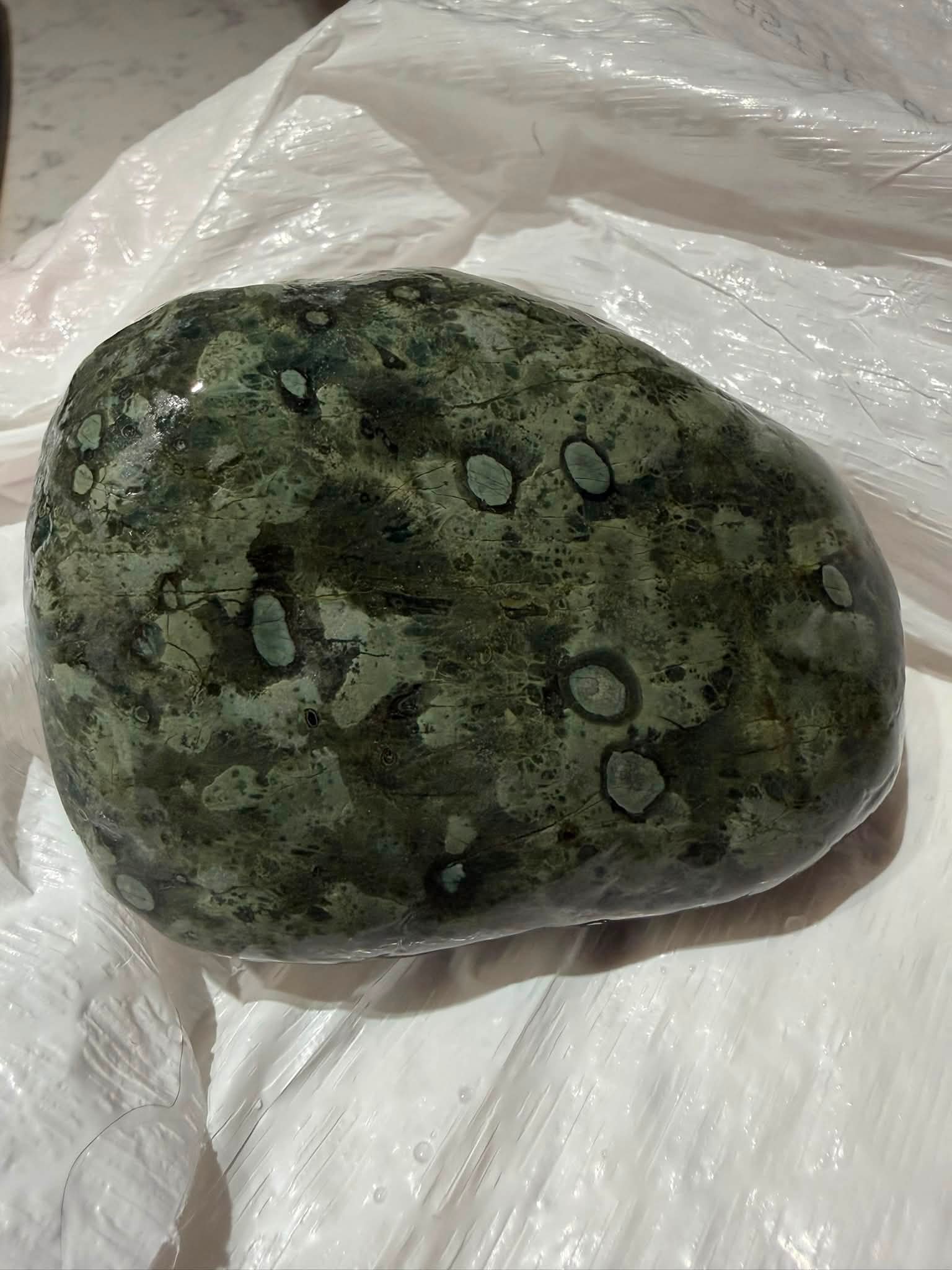 Identifying a greenish rock with patterns found on Lake Huron