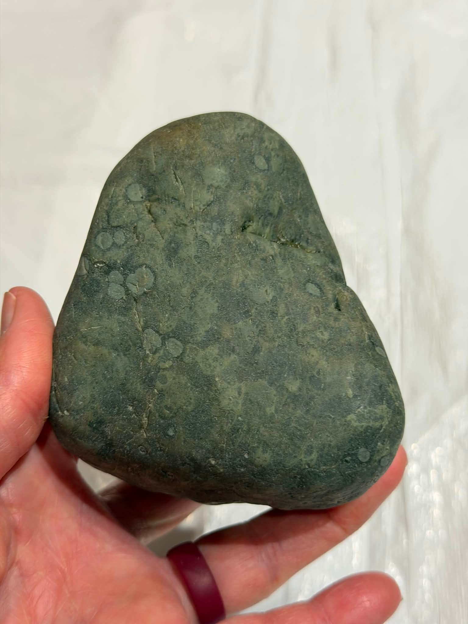 Identifying a greenish rock with patterns found on Lake Huron