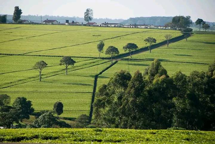 NANDI COUNTY POLITICAL HUB | Facebook