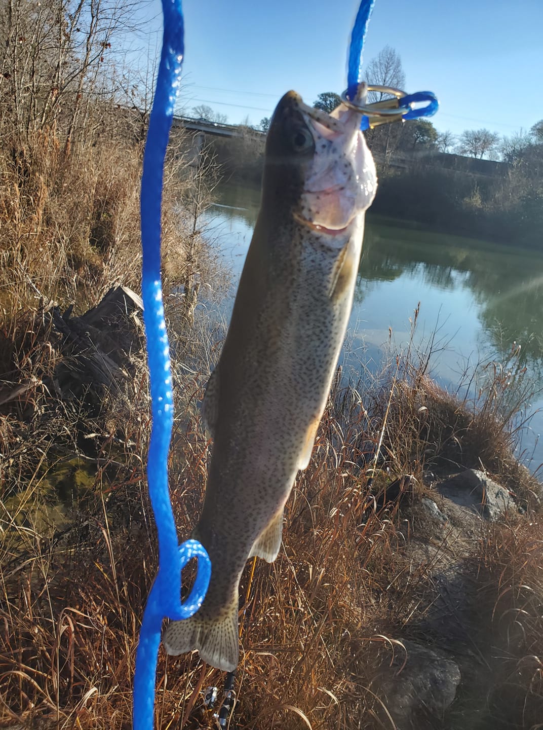 blanco river fishing lures White Baits  Red Dirt Bait Company in the backcountry or along the shoreline Turtle River Tackle Deacon 