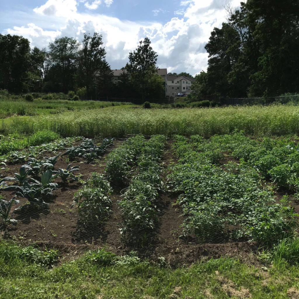 UWRF Student Alliance for Local and Sustainable Agriculture