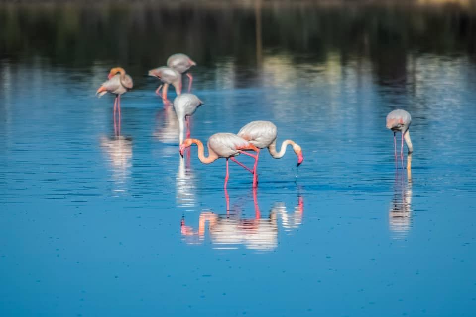 I ️ Larnaca | Hi, we are looking to buy a property in the larnaca area ...