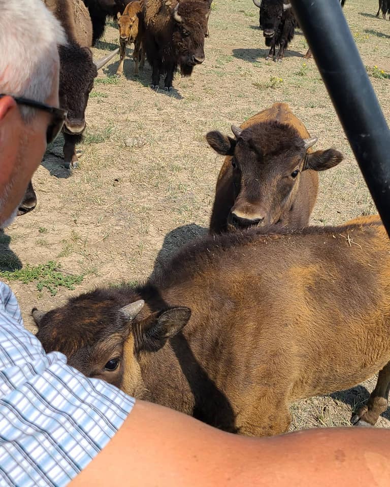 Pierce Land & Bison