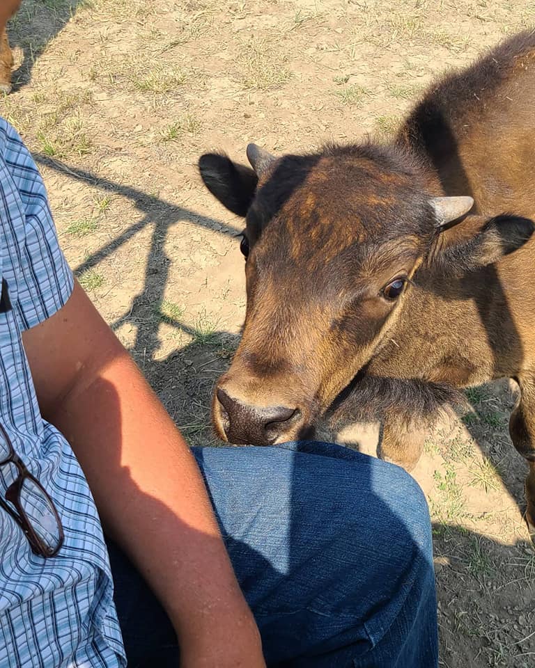 Pierce Land & Bison