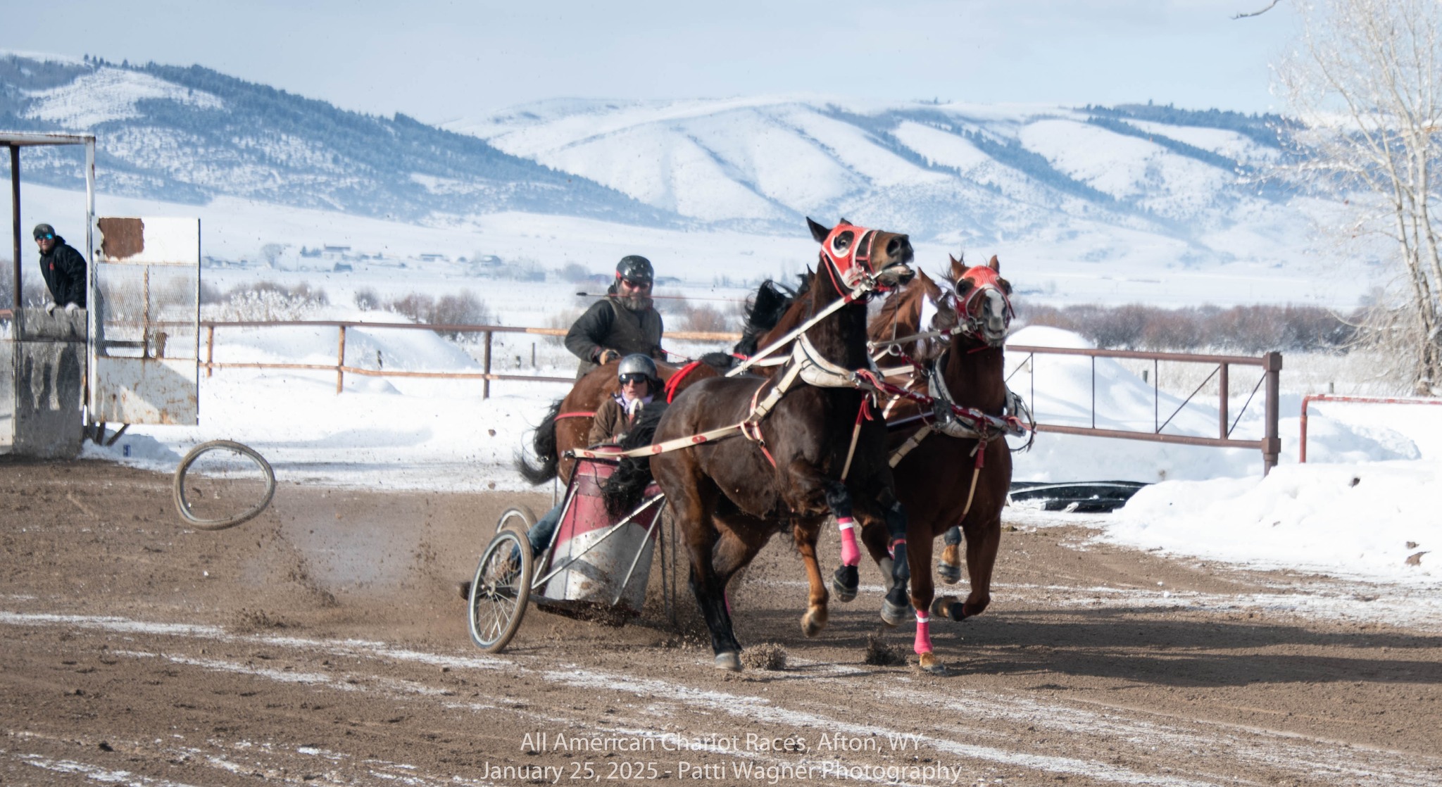All American Cutter/Chariot Races - Afton, WY | Afton WY