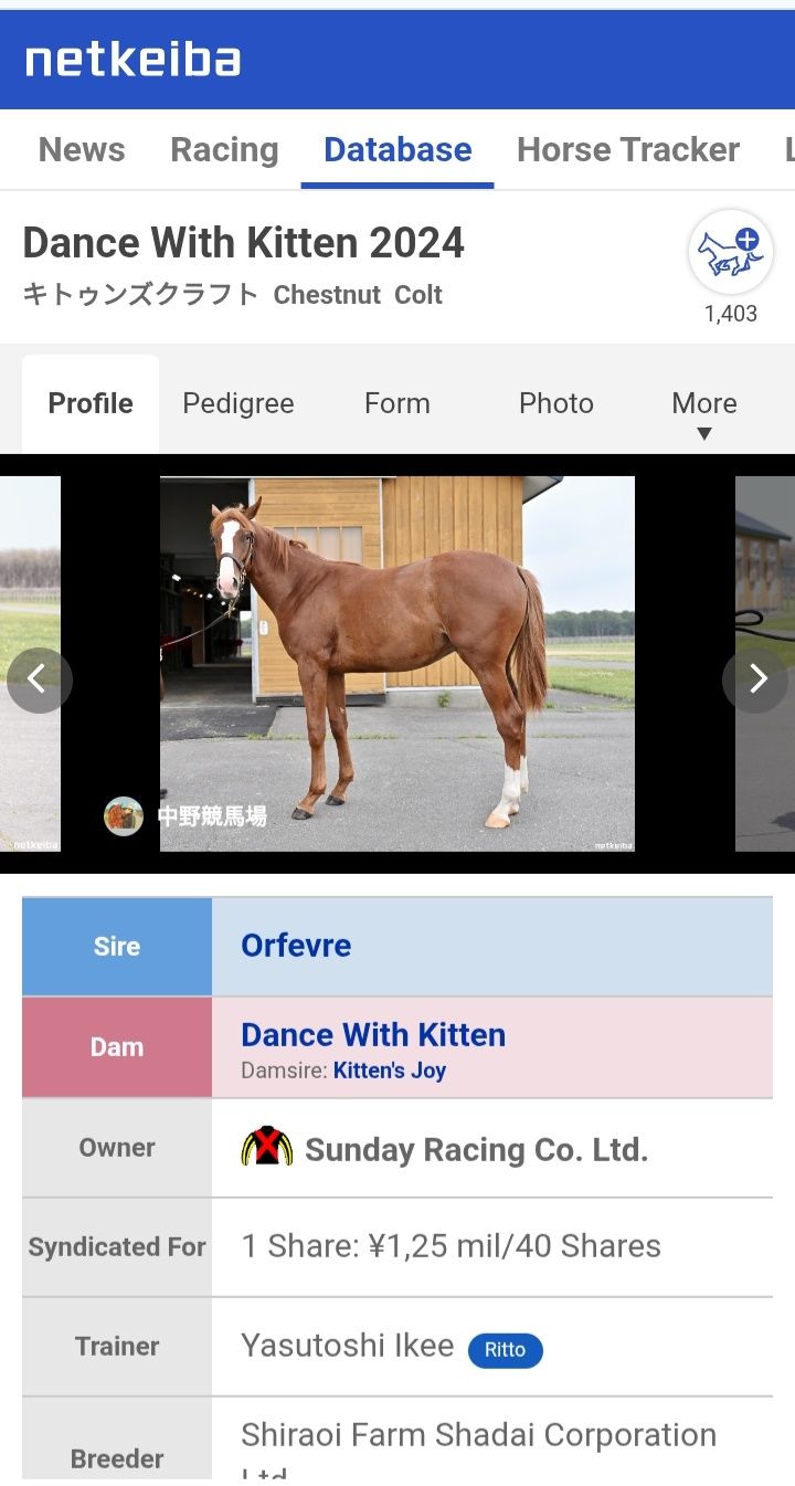 Uma Musume Thoroughbred collection additions: Durandal, Marche