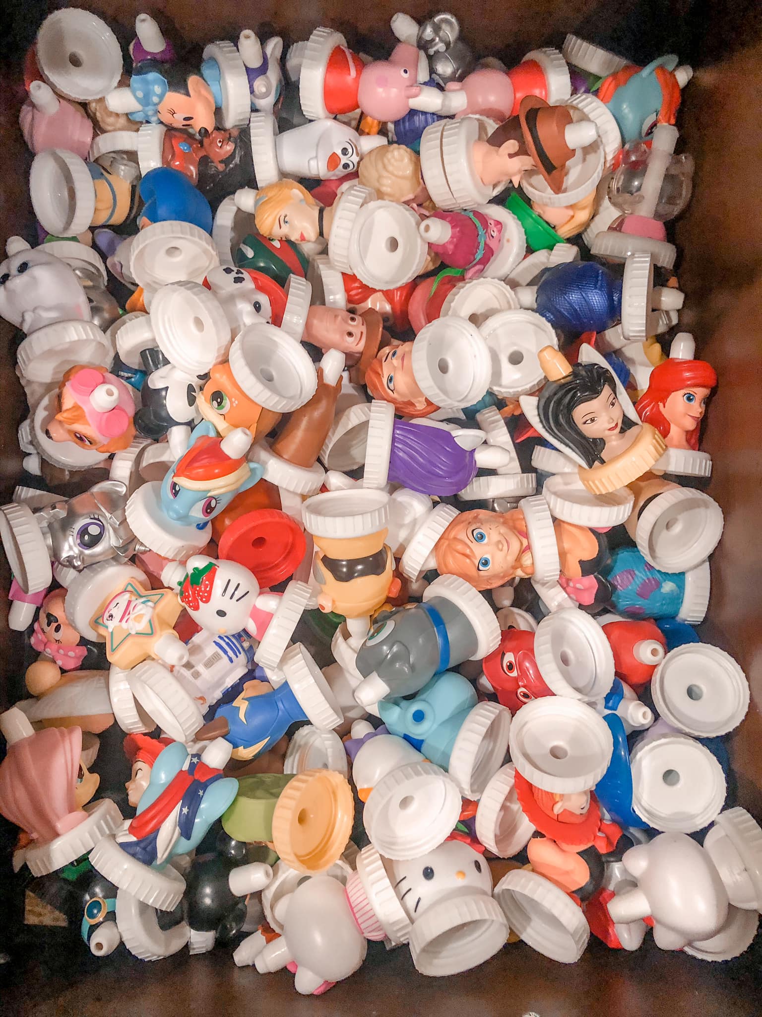 Good2grow collector of the month features Oli's collection