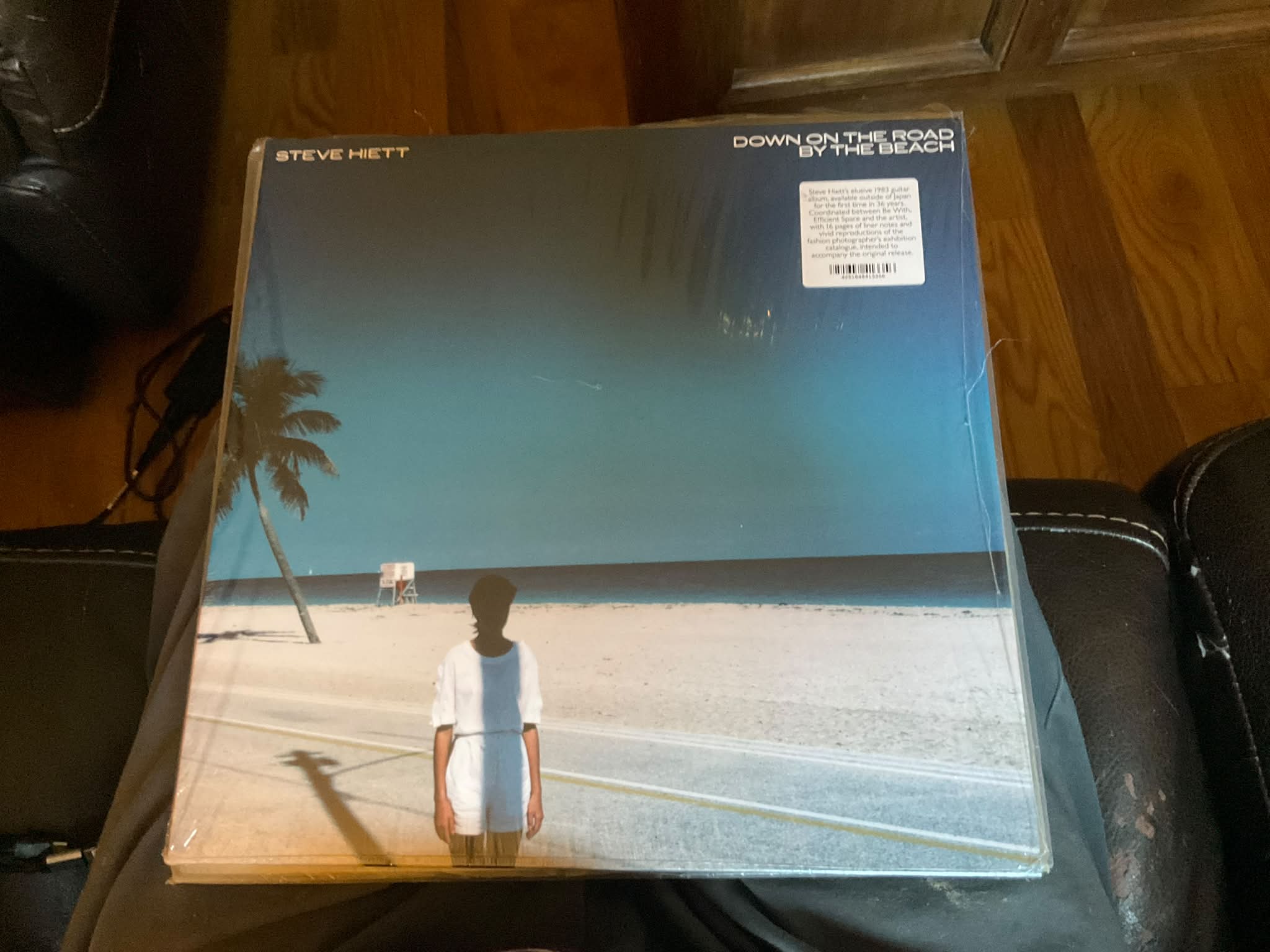 Steve Hiett's Down on the Road by the Beach album review