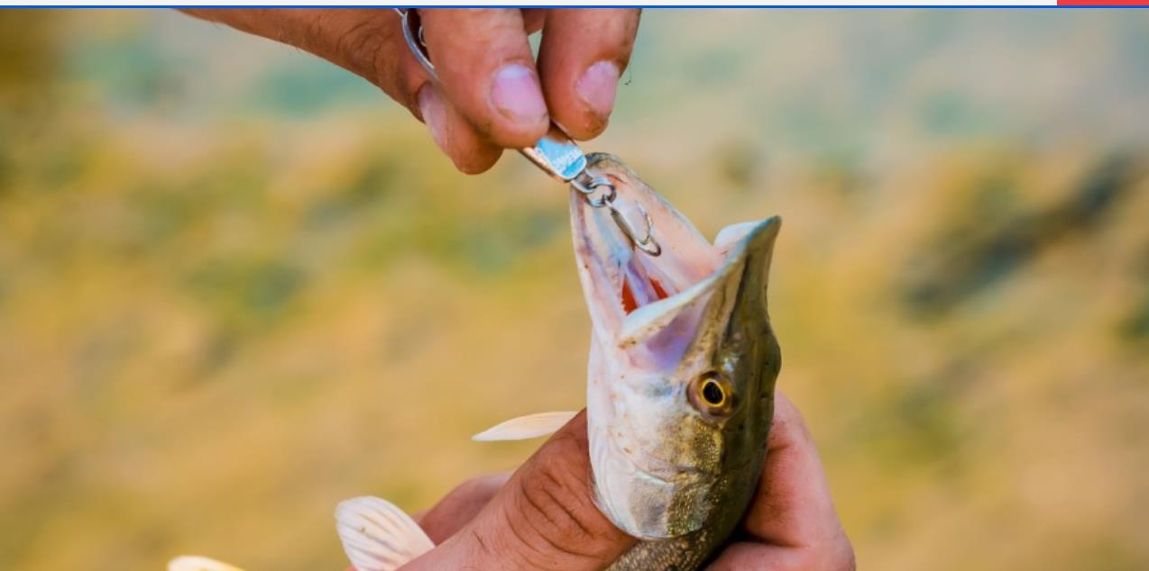 catch and release fishing taking hook out of the mouth Lamson Ketchum Fish Saver This is a great trick