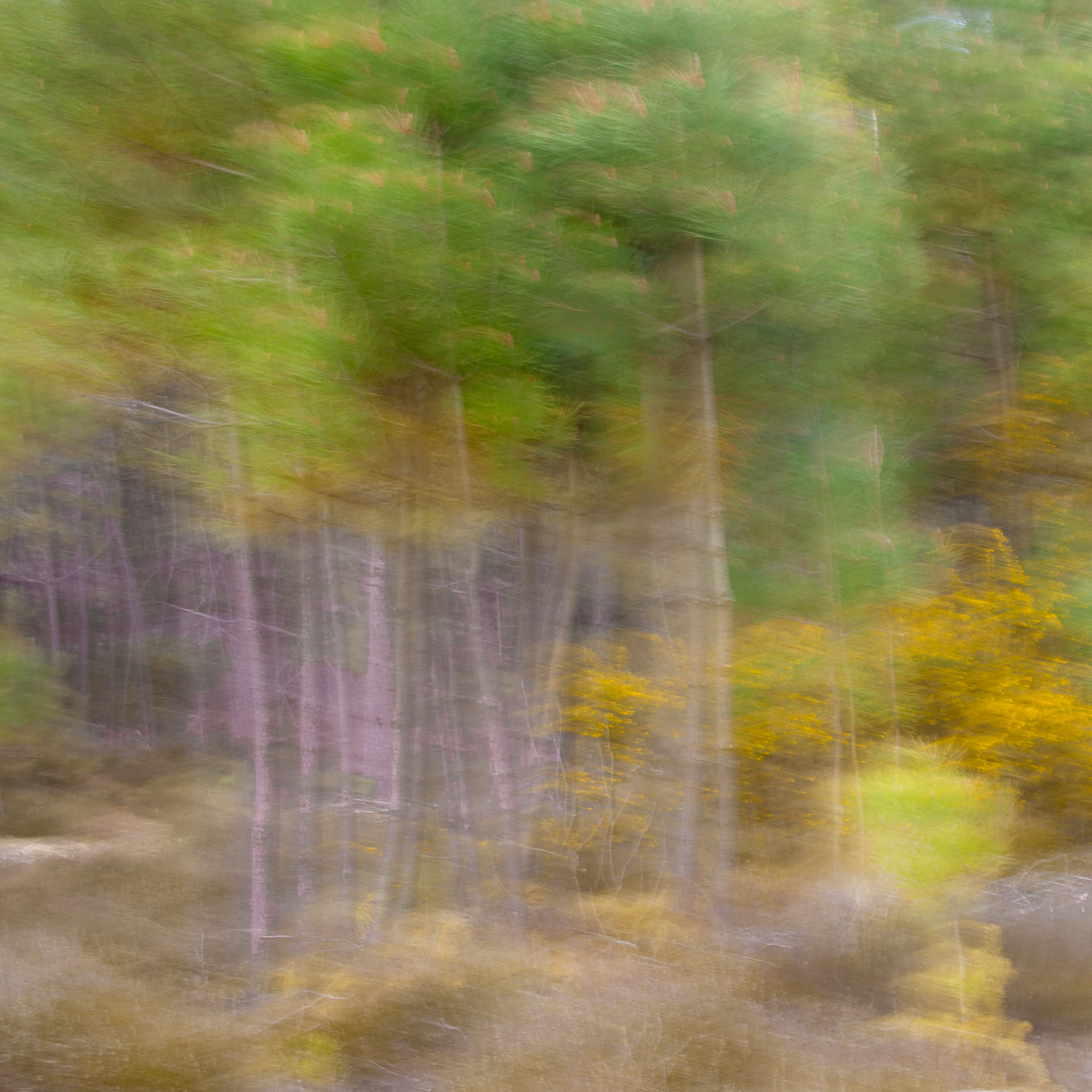 Canon 700D