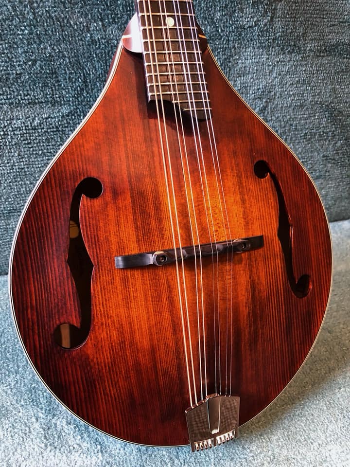 Opinions on Dearmond mandolin pickup model 500?