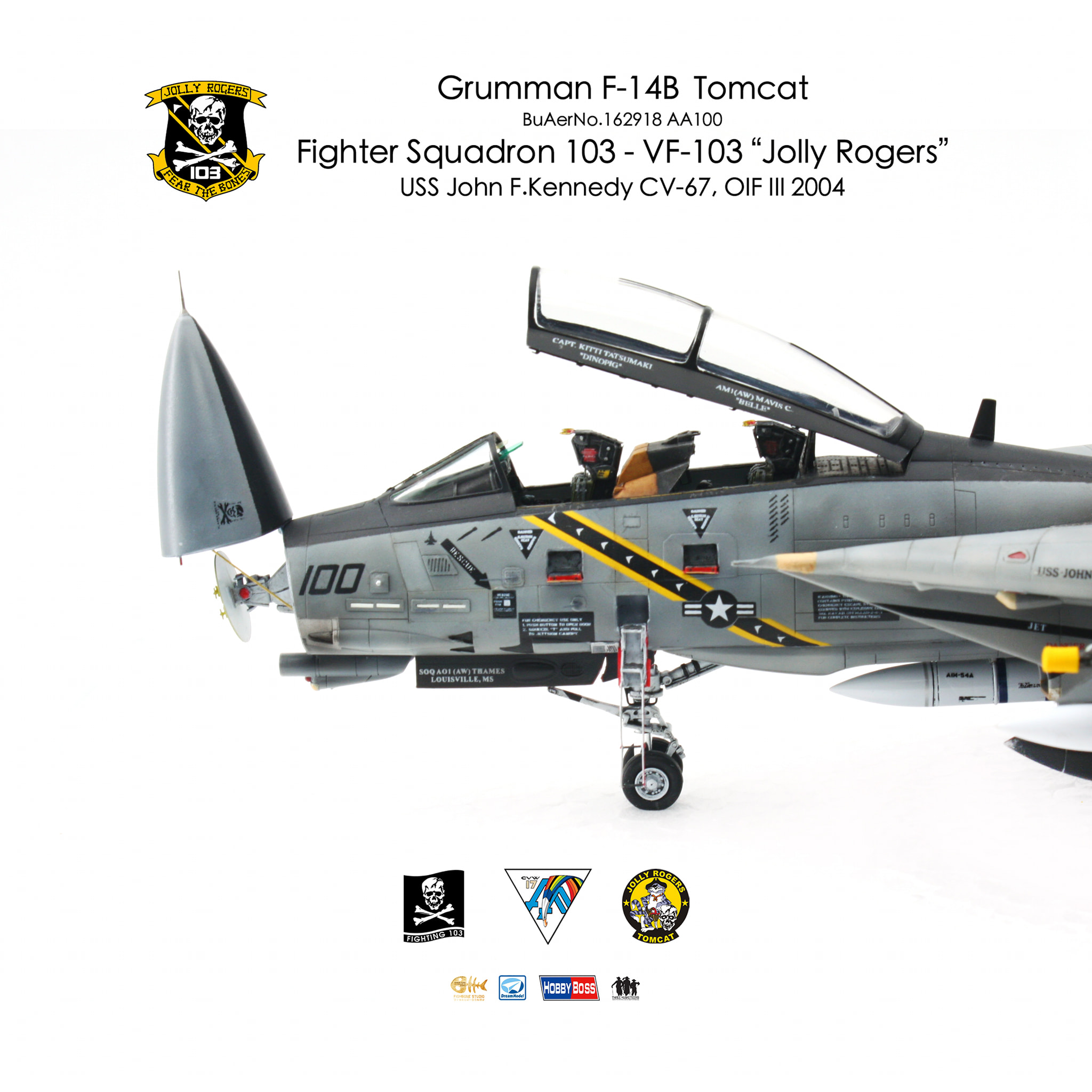 Calling it done! 1/72 US Navy F-14B Tomcat BuAerNo.162918/AA100 of