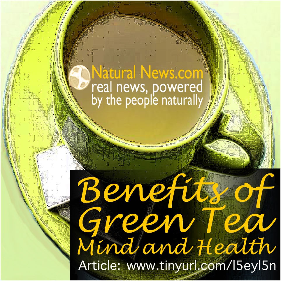 Two cups of Lipton Green Tea a day = the flavonoids of 8 cups of raw kale! Sip your way to health 🍵💪