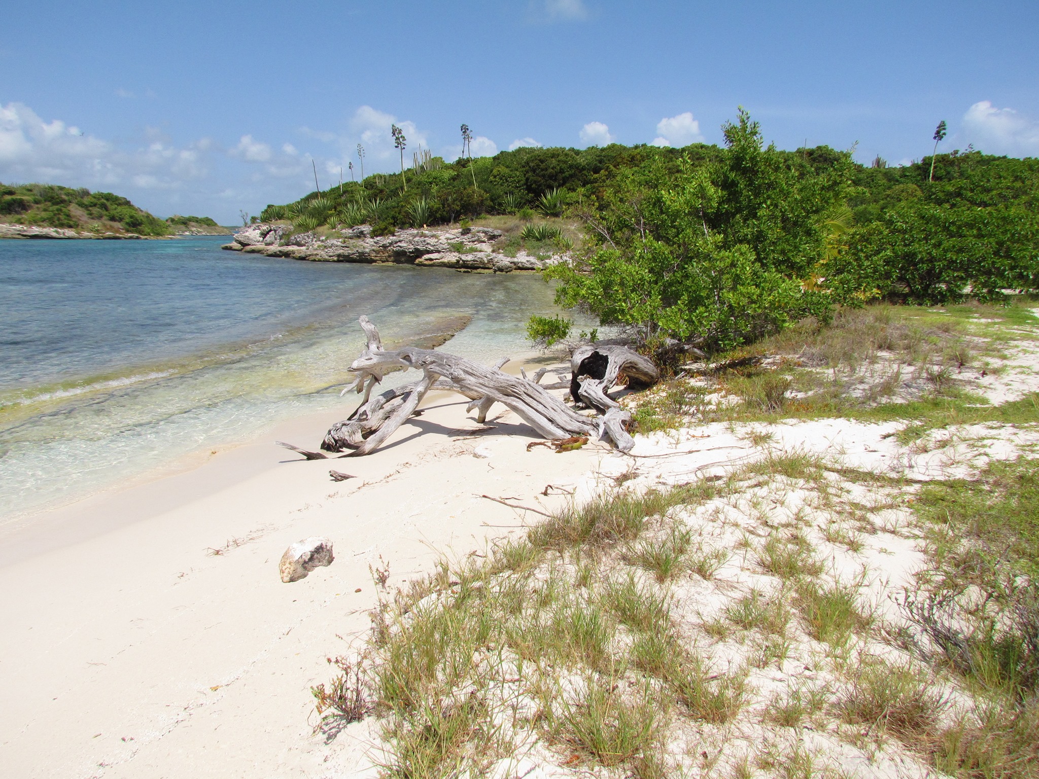 It is easy, on a clear weekend morning, to mistake Maracas Bay for 