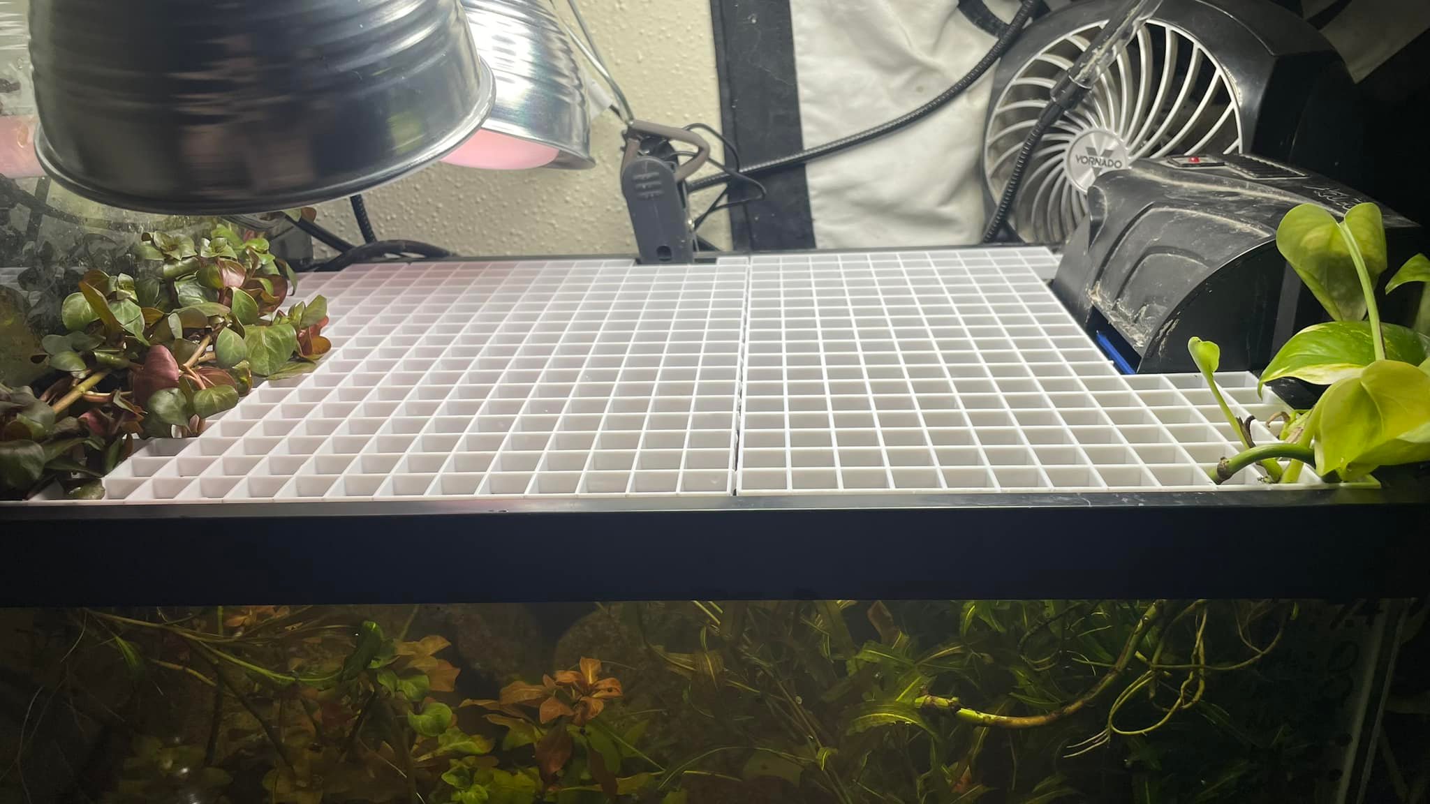 egg box for fish tank Bubble Magus Black Aquarium Divider Crate Ensure safe Using plastic egg crate as