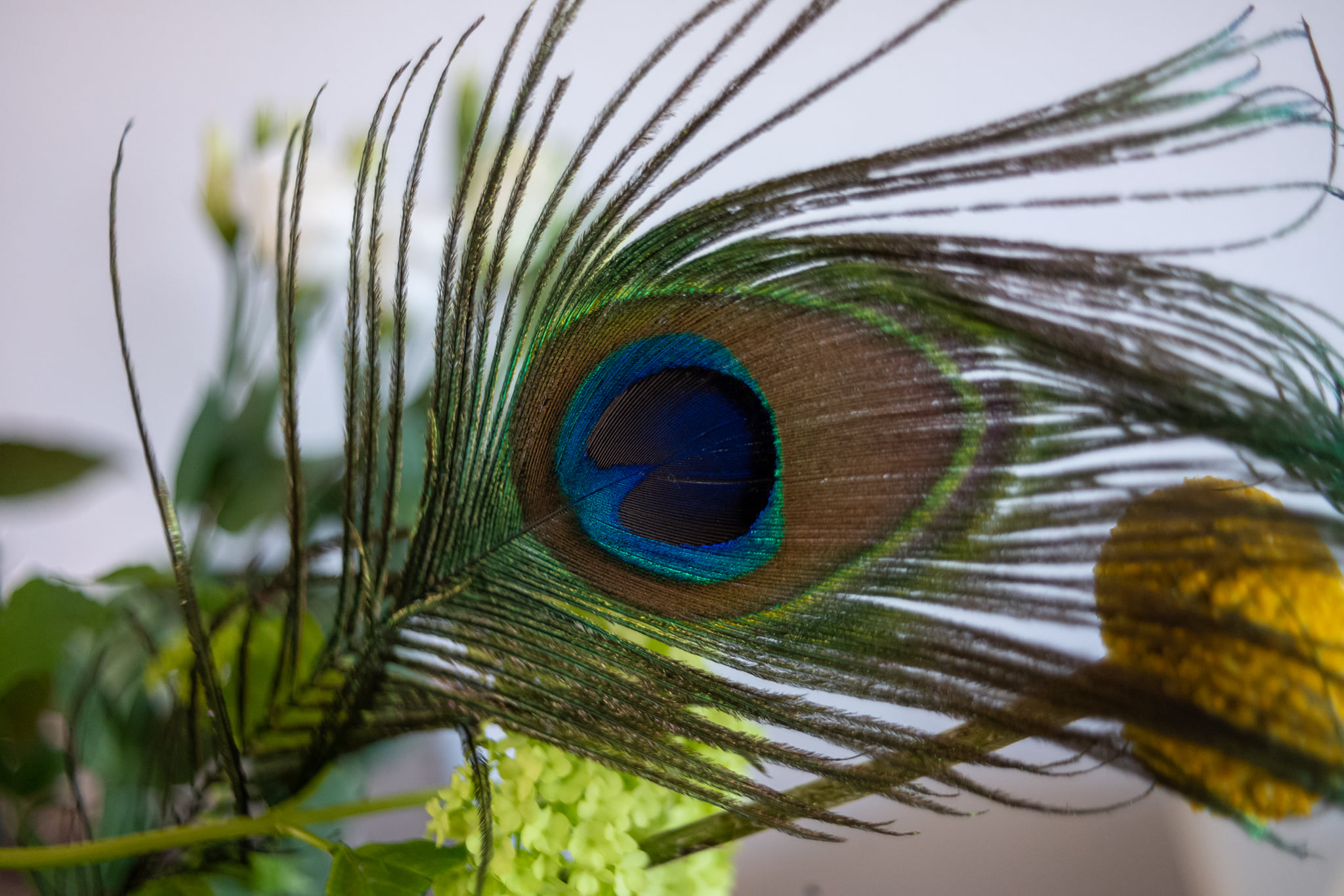 Meyer-Optik Görlitz Lydith 30mm f3.5 - 1964 (+Sony A7II) Weight