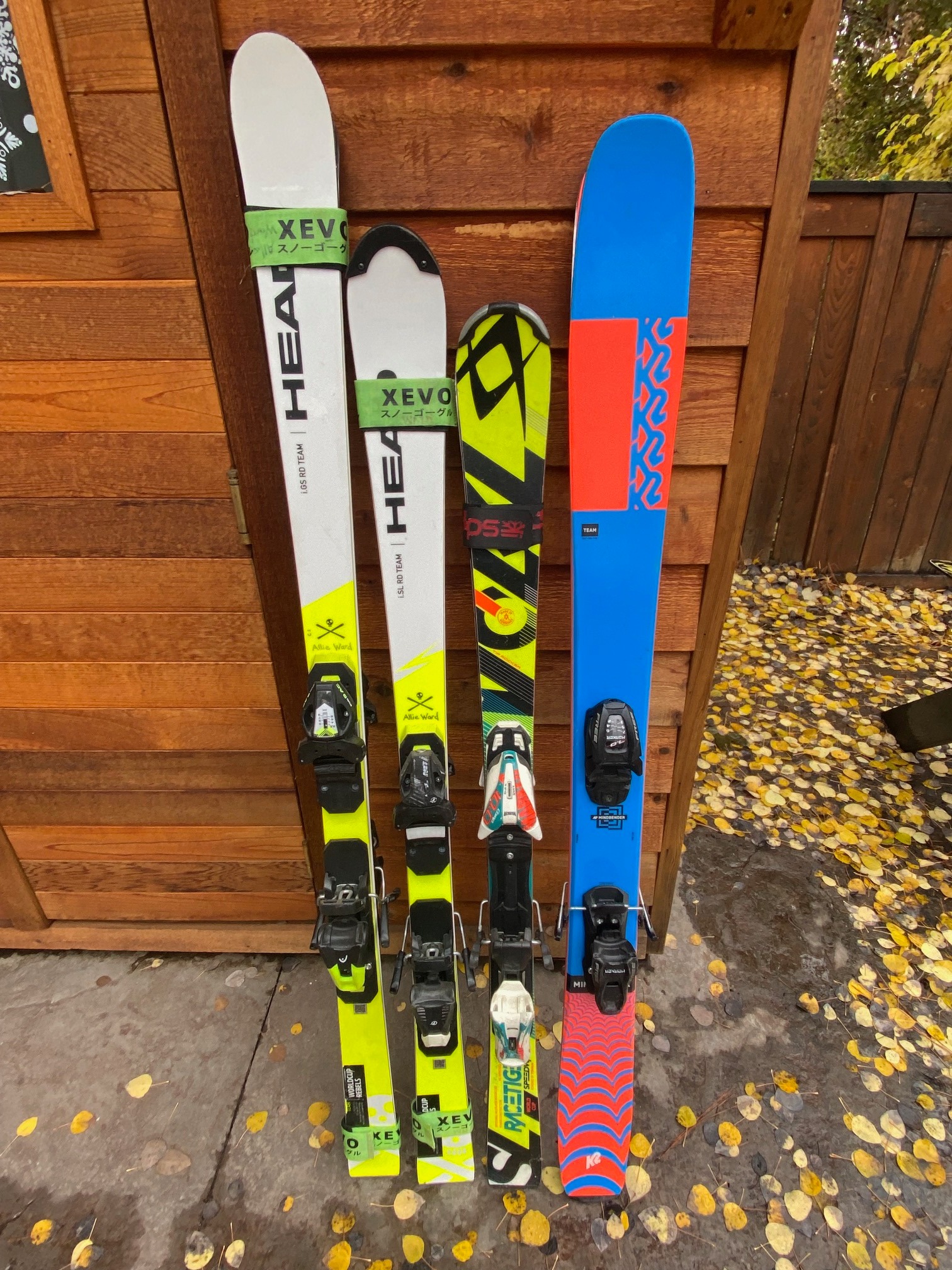 HEAD Worldcup Rebels e-GS Rebel Skis – 188cm (FIS Approved Women's