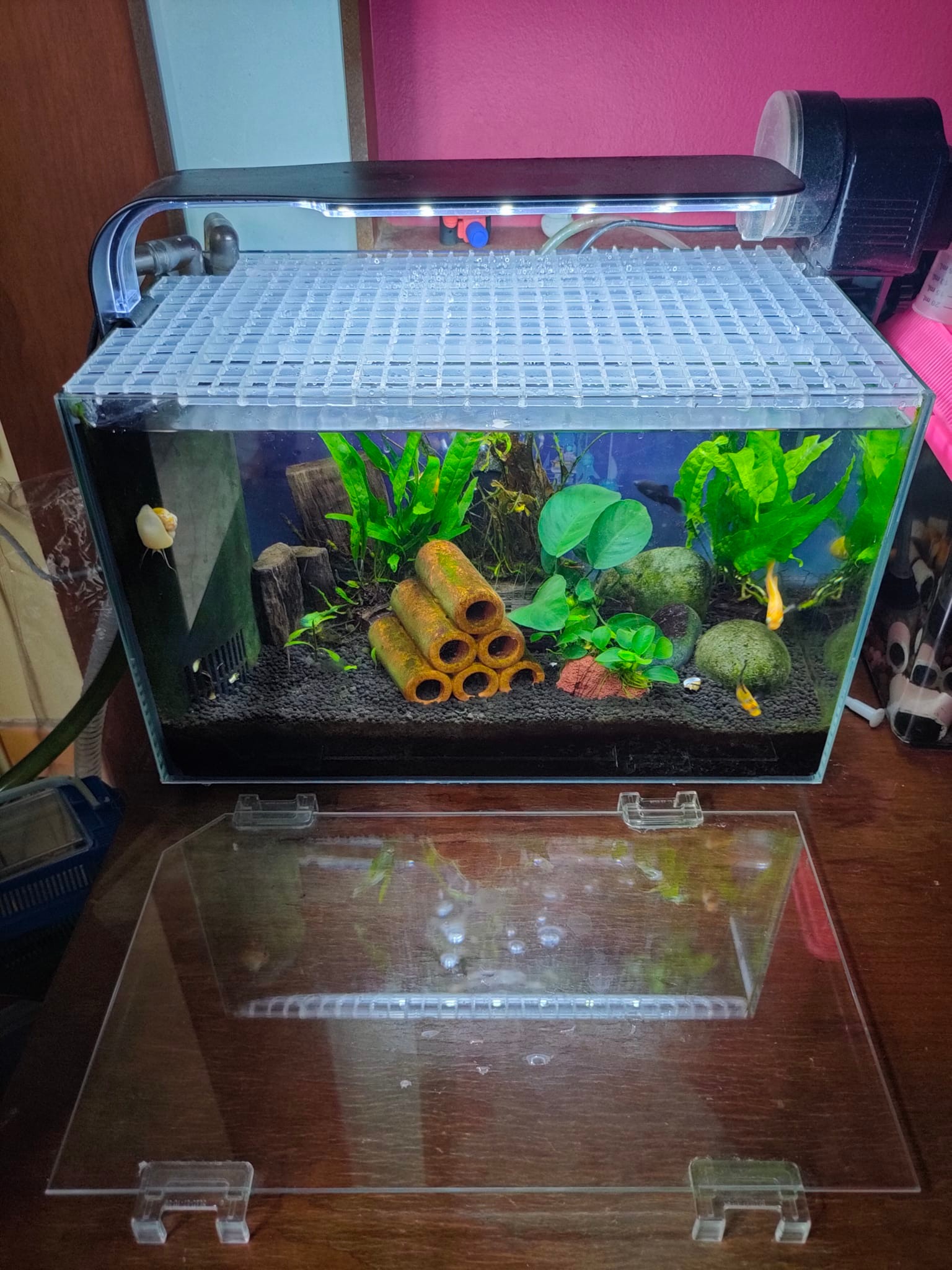 egg box for fish tank Supkiir 14pcs Aquarium Divider, Plastic Grate Isolation Board Partition, Black Aquarium Filter Bottom Tray Crate Light Diffuser Grid Panel : Pet Supplies Ensure safe Egg crate false bottom for