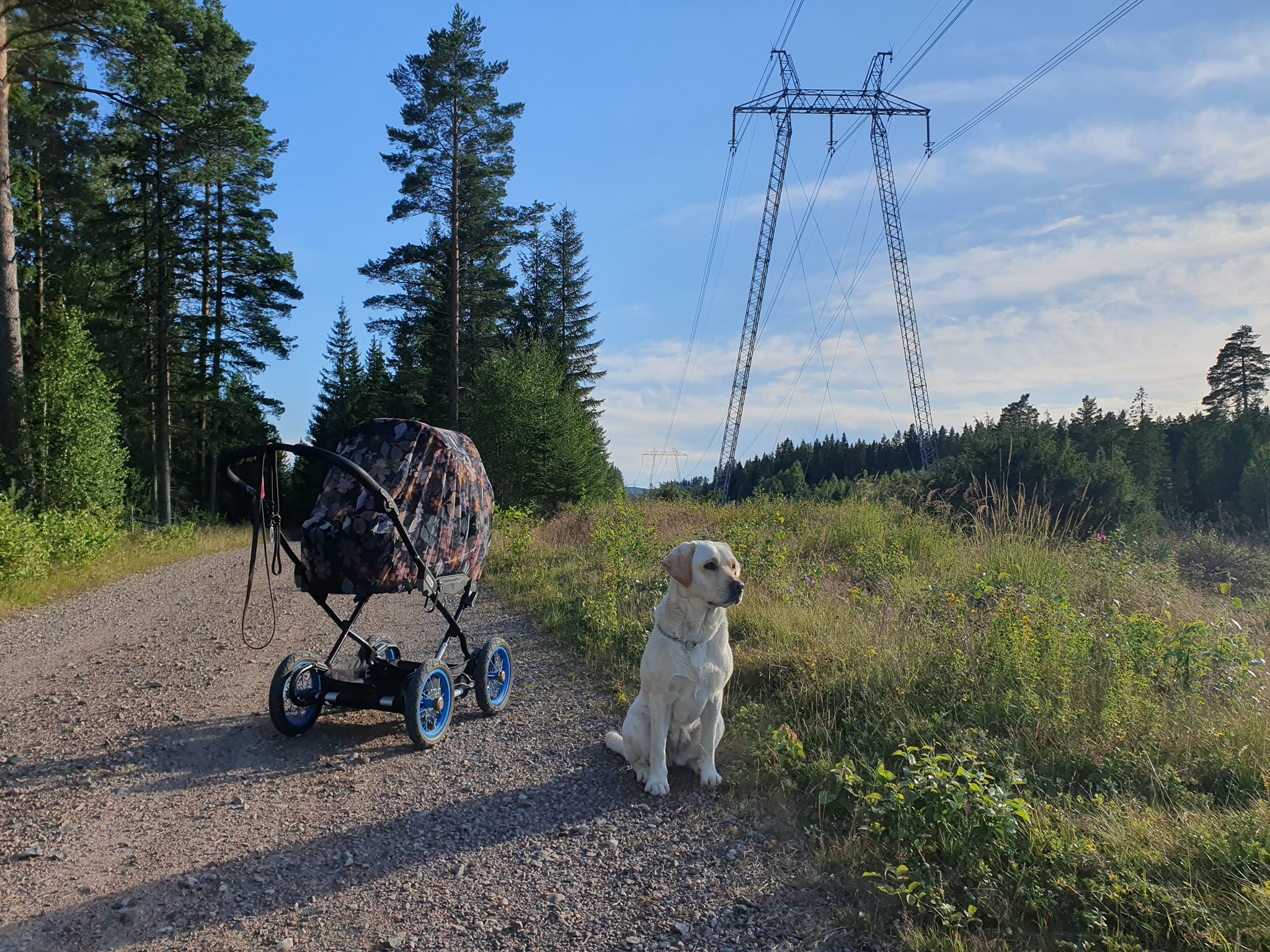 Ida Carolina Bergman
