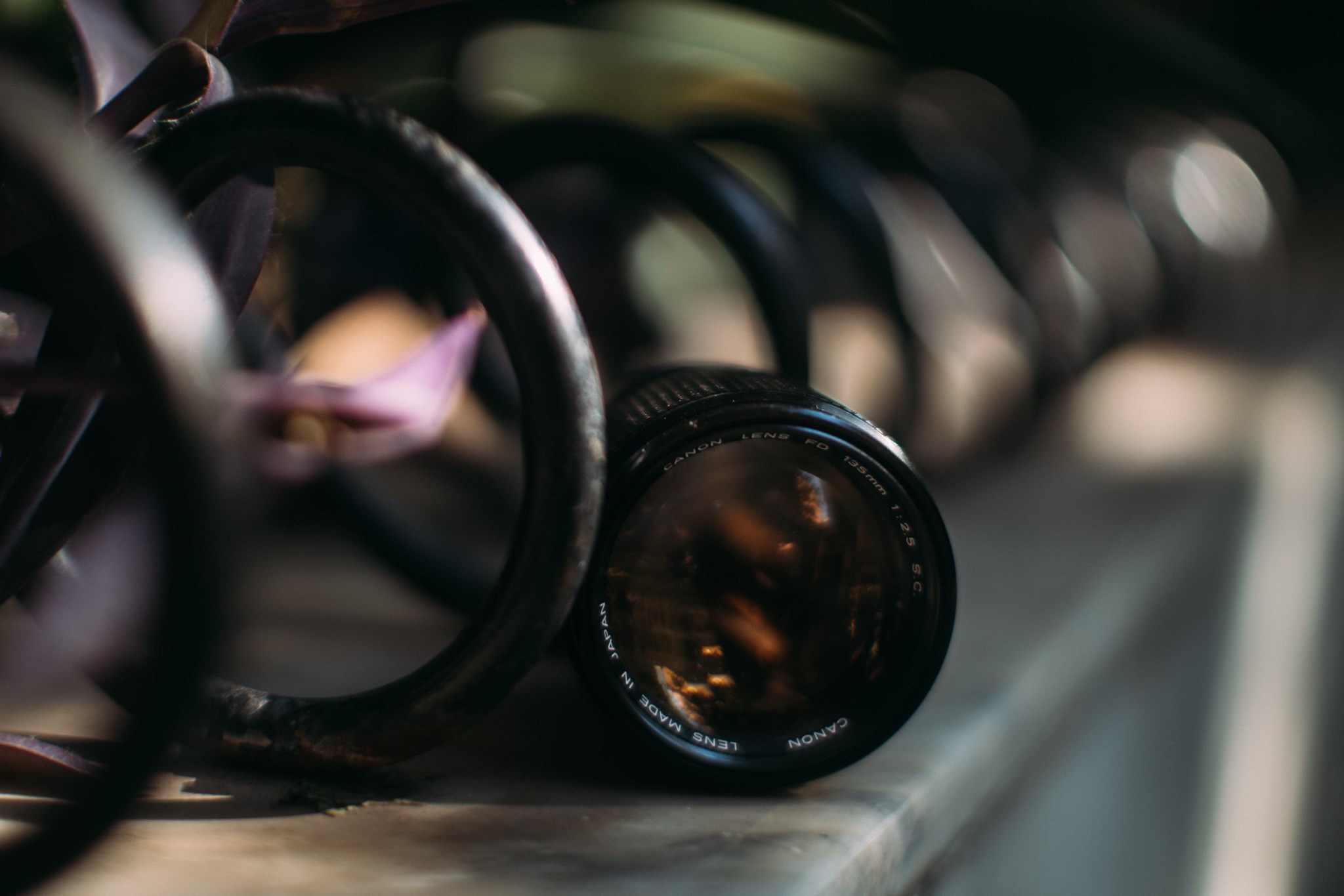 Which lenses would you personally like to see rehoused next? I