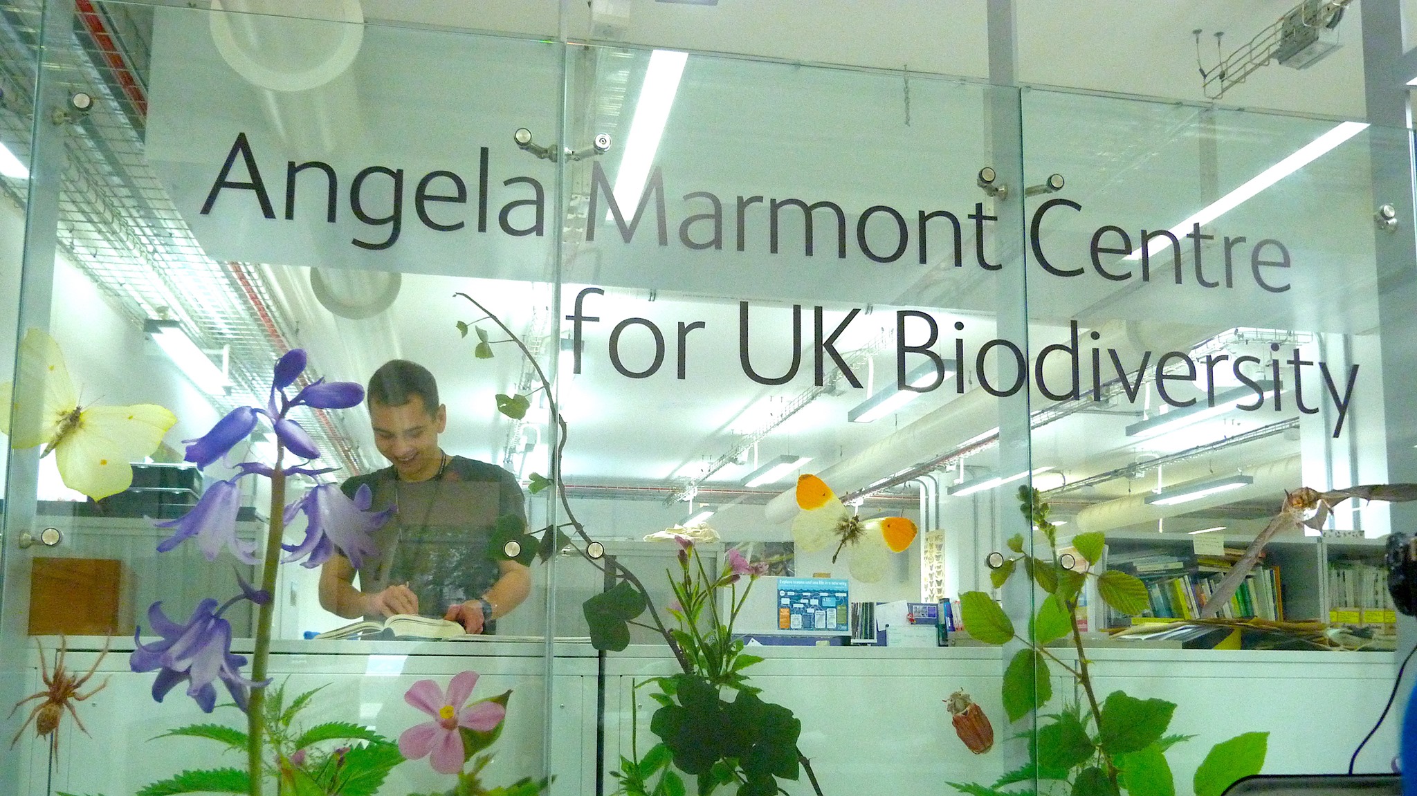 NHM UK Biodiversity | This is a simple, I hope, and easy to follow ...
