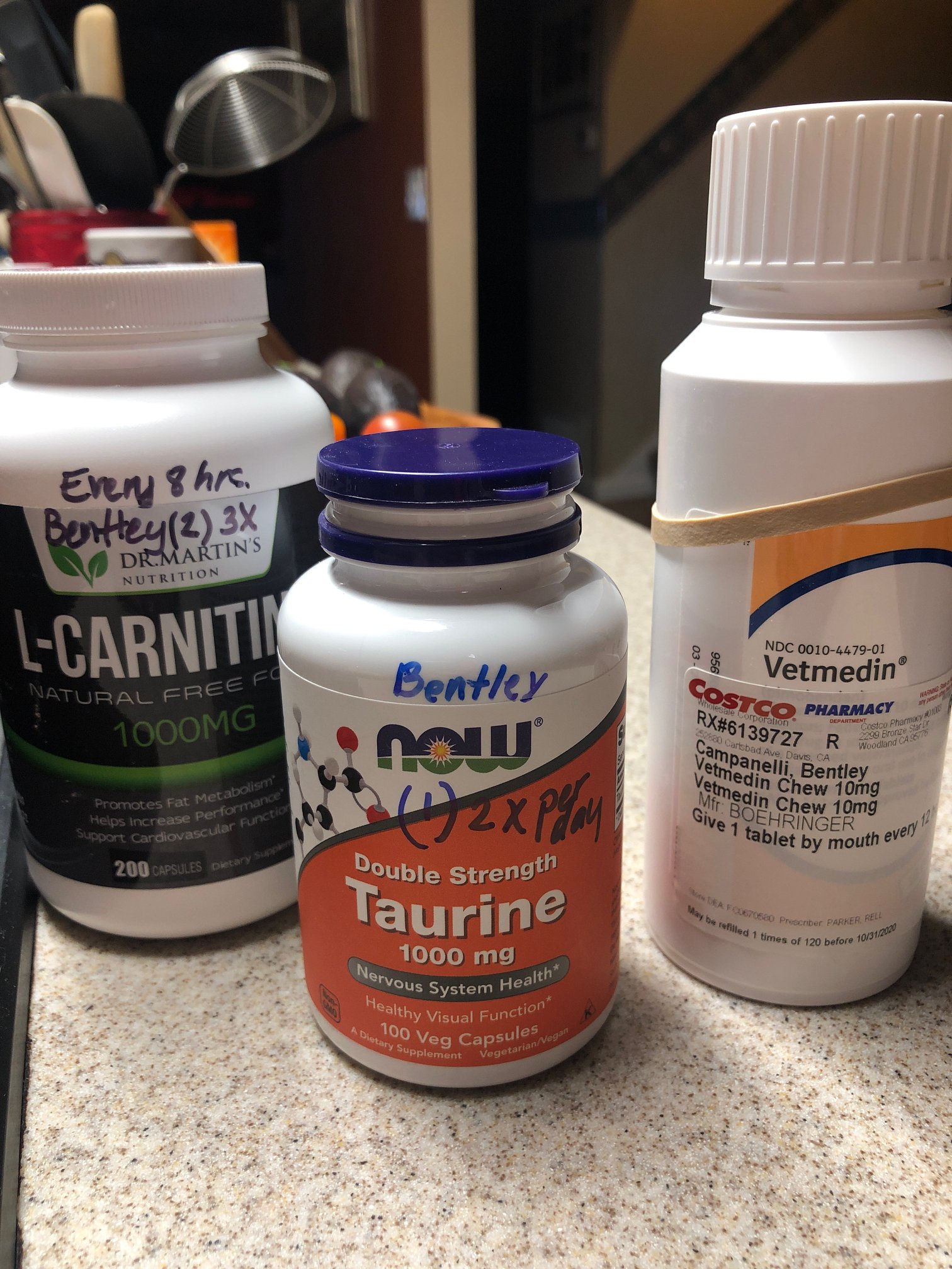 l carnitine costco It is time to get back to this whole saving and adopting business and I wanted to kick 2022 off with a hugely positive story. You might remember that Zhoney, a young antioxidative glutathione Volume:8 IV Drips With Vitamin