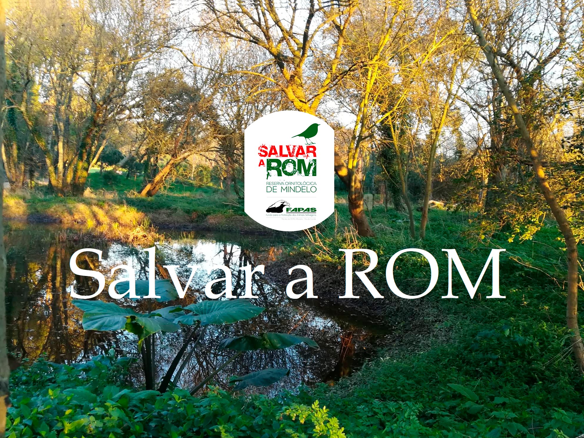 Salvar a ROM (grupo) | Facebook