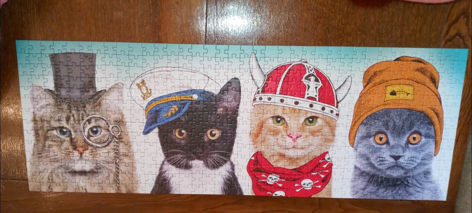 Puzzle A charming kitten, 500 pieces