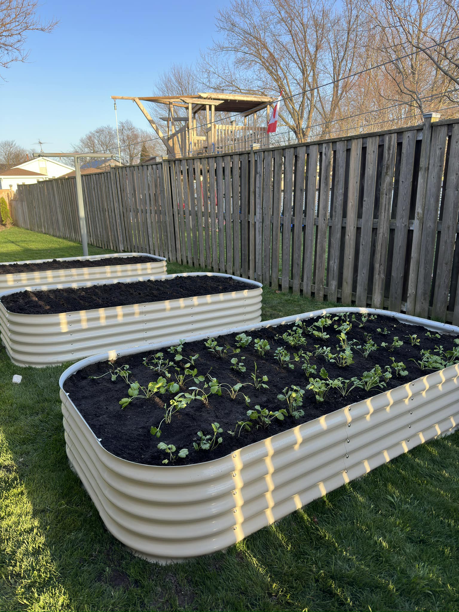 How Many Plants in 4X8 Garden Bed: Optimal Layout Tips