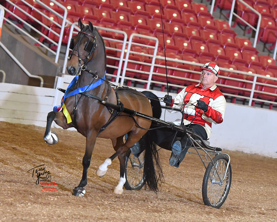 Leigh Gary Altizer