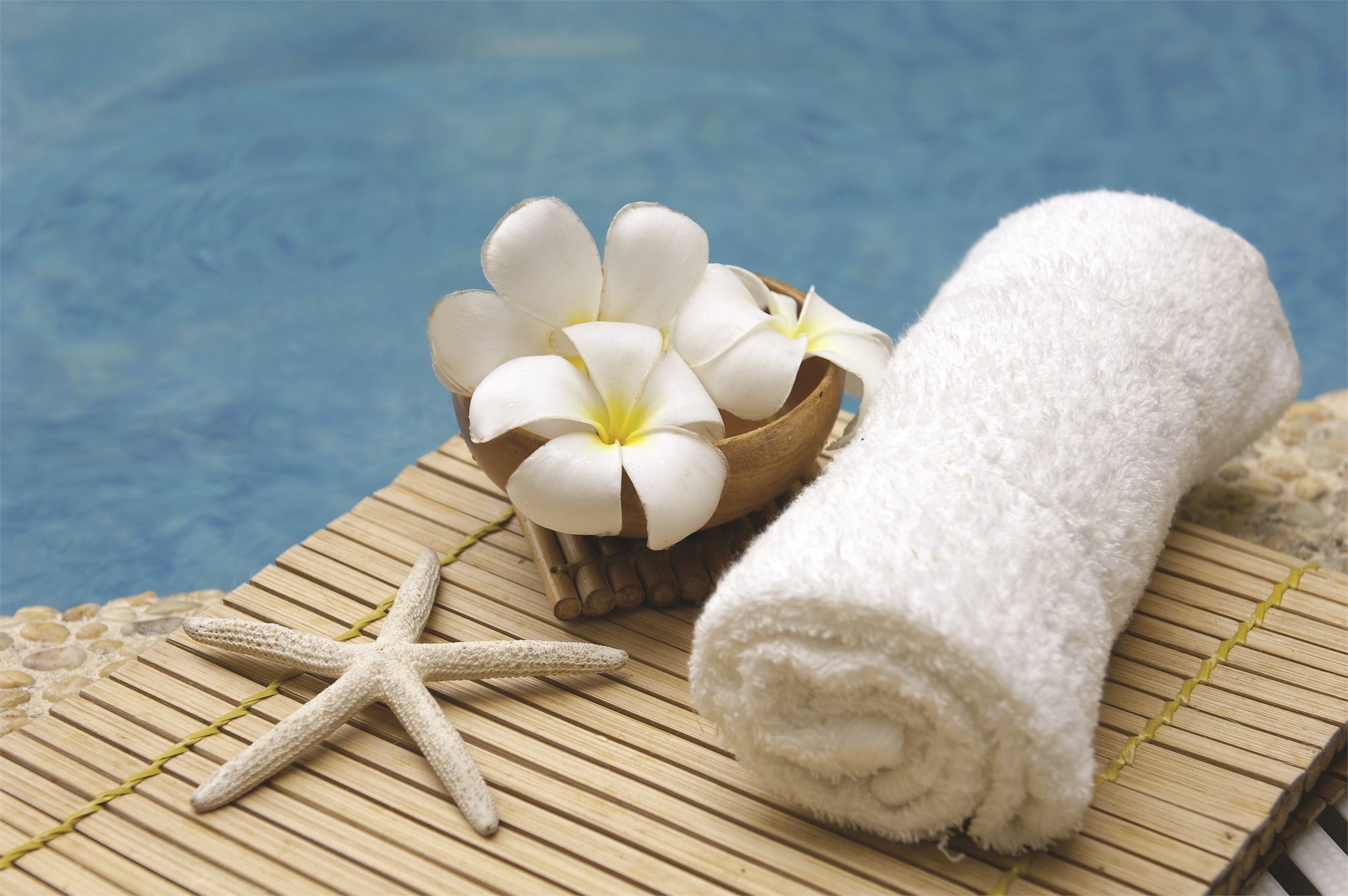 Matamata Pool & Spa Shop