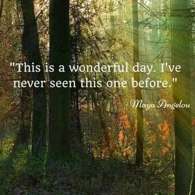Susan Tozer