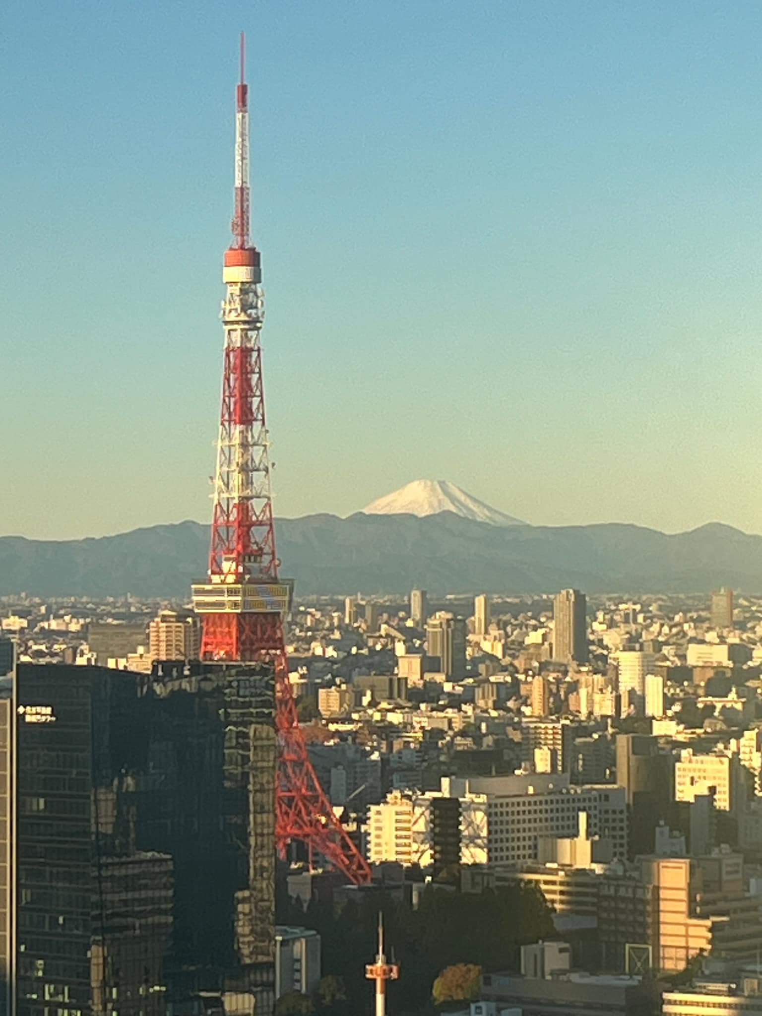 Japan travel experiences in kurashiki and tokyo