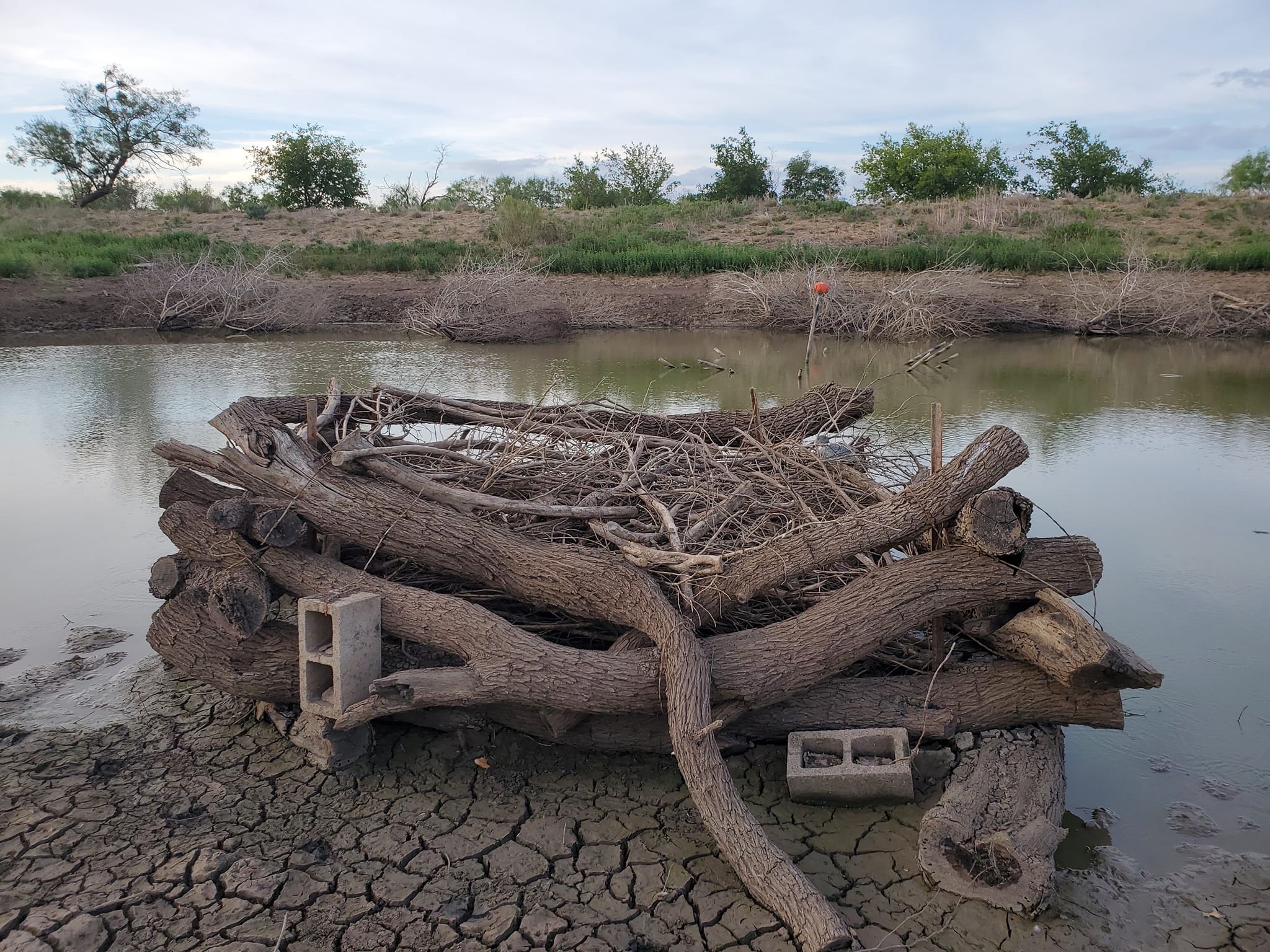 berkley fishing crib structure American Fish Tree Fish – AmericanFishTree Conceived from the ancestral link of predator FishFlex-Fish Crib Habitat Kit