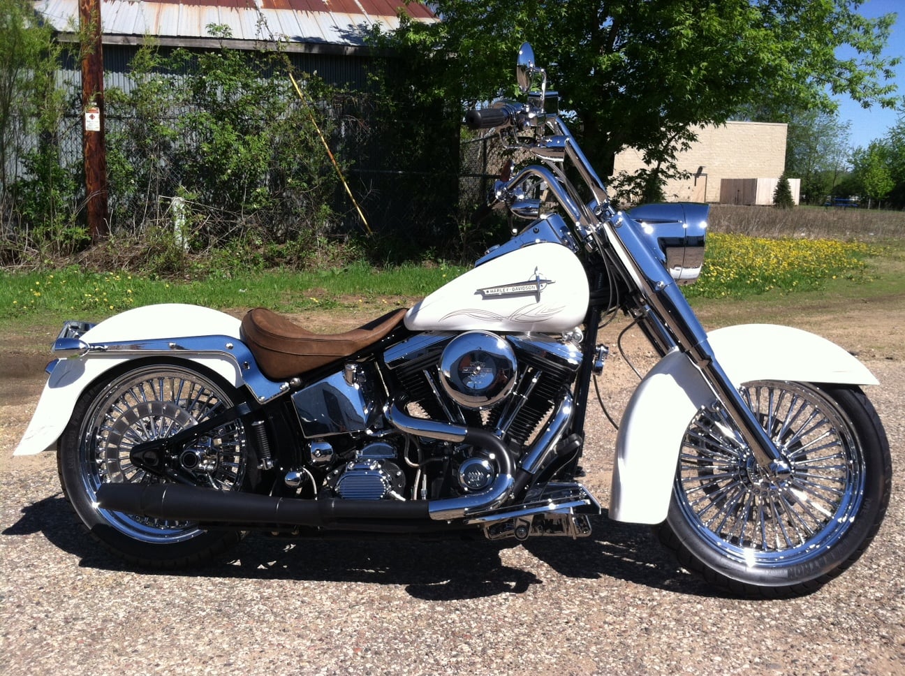 Custom 1995 Harley Davidson Softail Nowaskey Extreme Performance