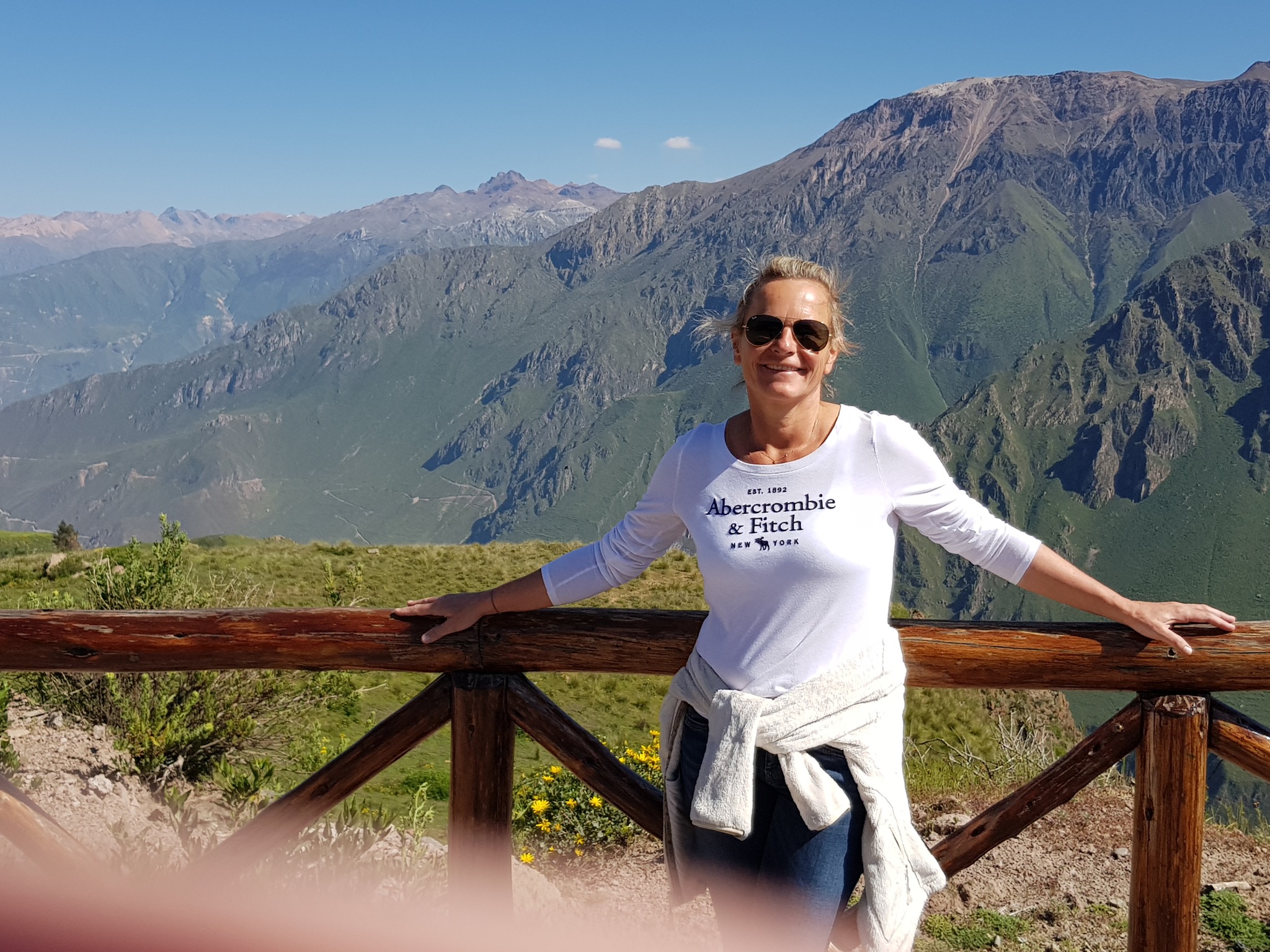 Birgit Meixner