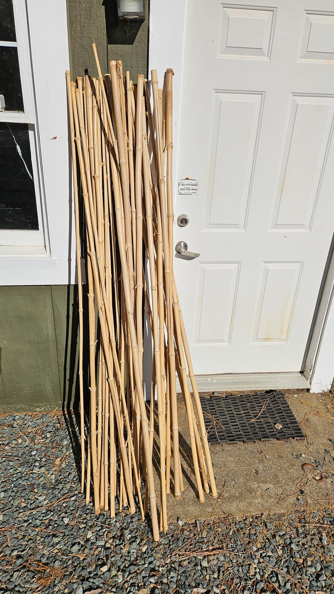 If there's an Ollie's in your area great price on bamboo stakes.