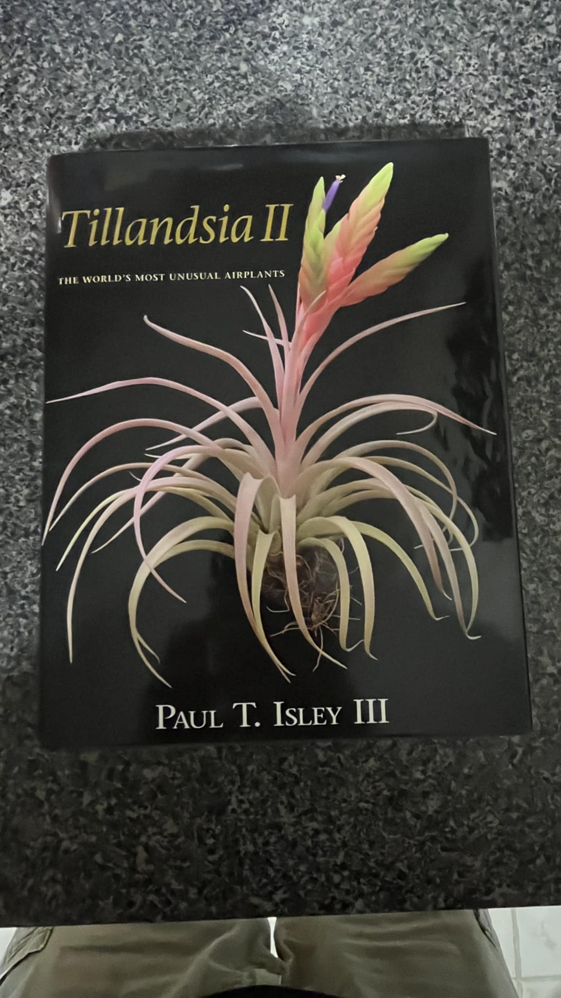 Recommended Book on Tillandsia for Air Plant Enthusiasts