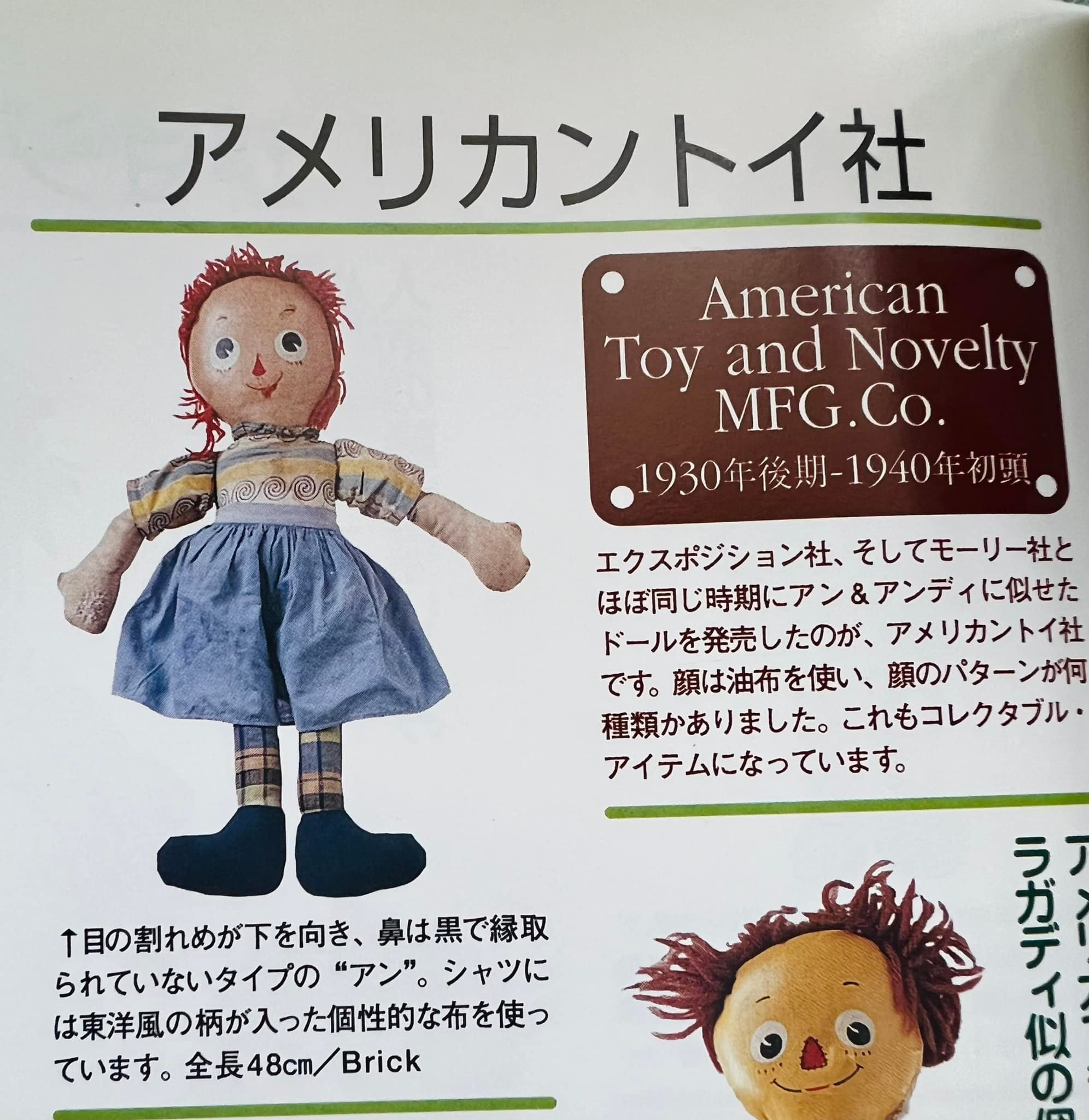 Excited to have found her in a catalog ? She is a Raggedy look 