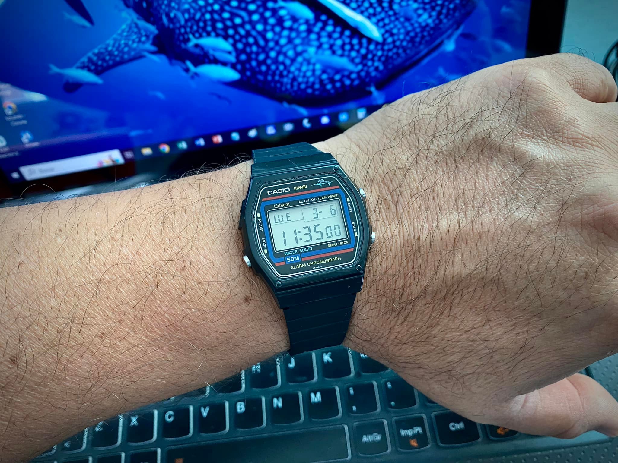 Casio Marlin W-24 watch details needed