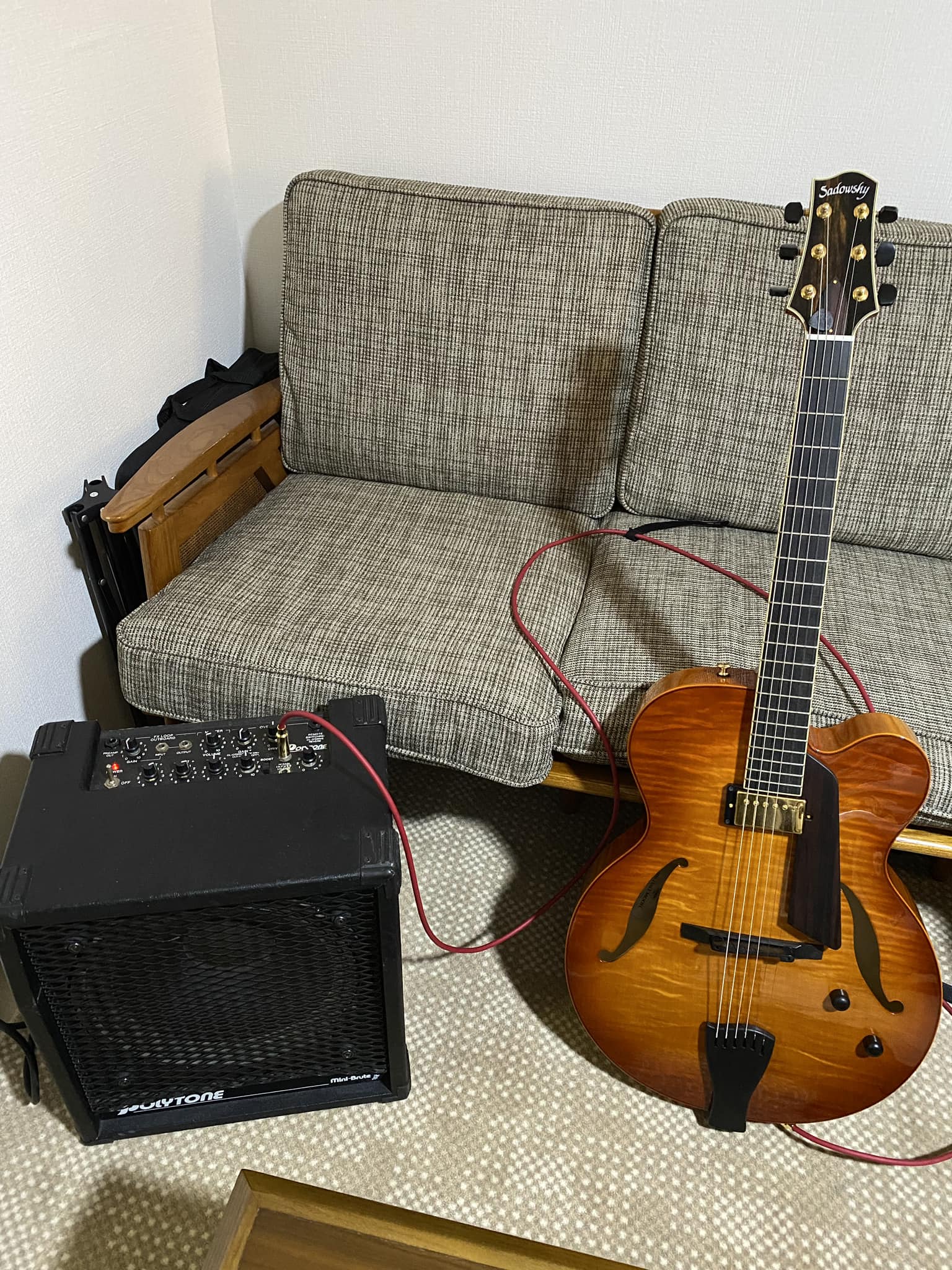 Sadowsky Jim Hall model archtop guitar review