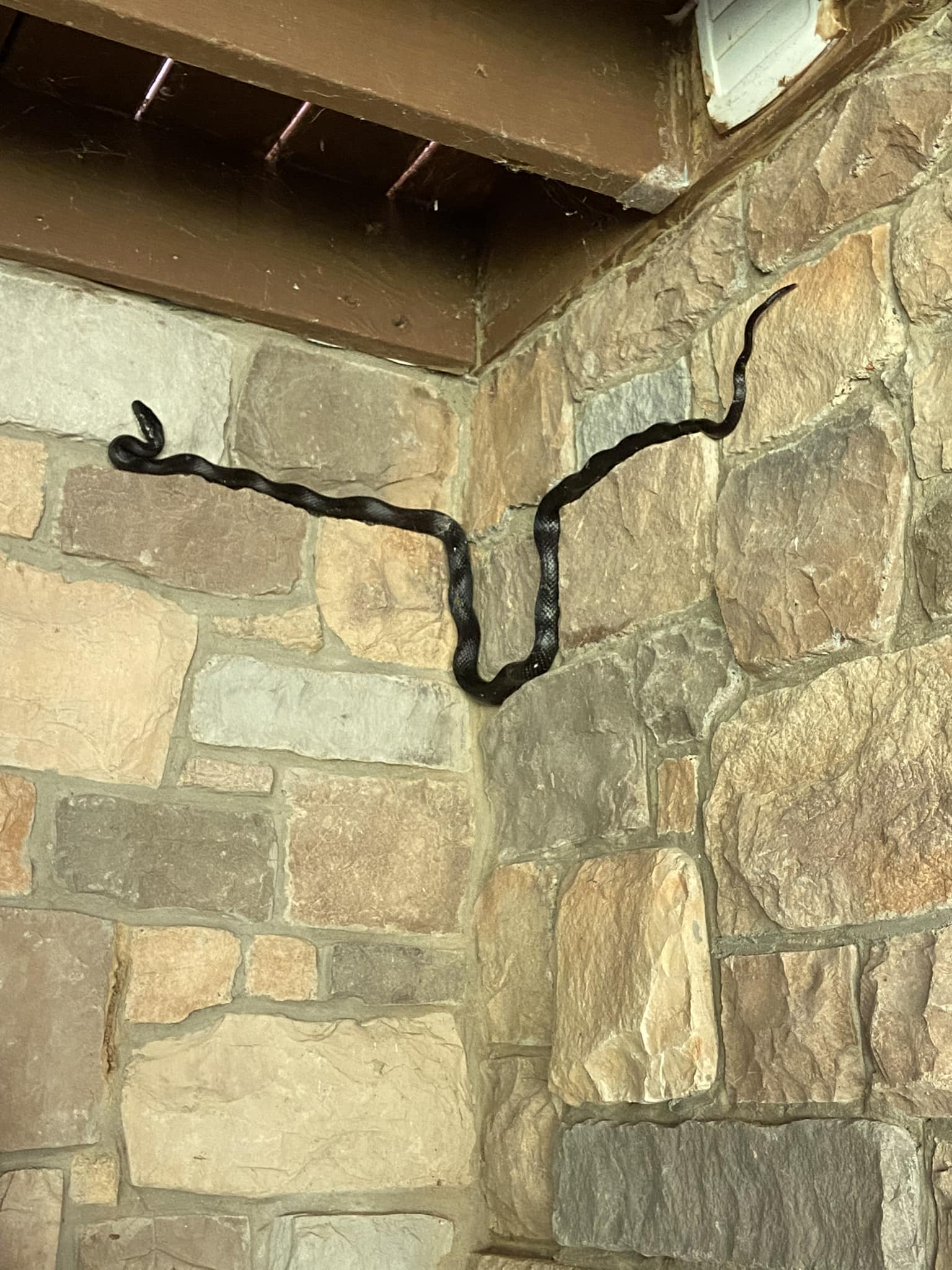 What was wrong with the stone the snake wouldn't cross?