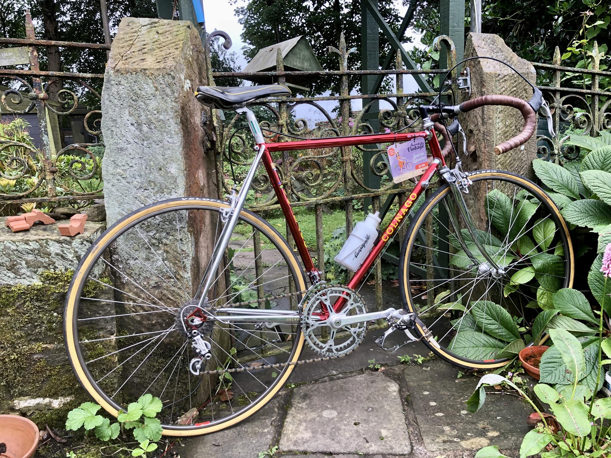 COLNAGO SUPER MEXICO コルナゴ スーパー メキシコ 1970年代 nuovo 