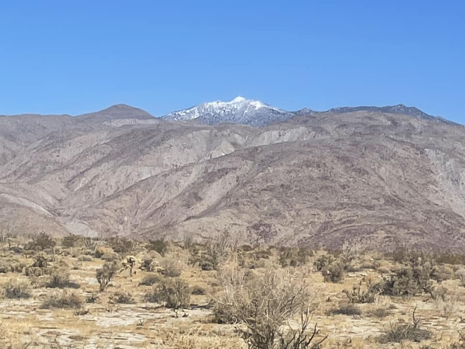 Anza-Borrego Desert Wonders | Photos from 3/8/25 ~11-mile hike ...