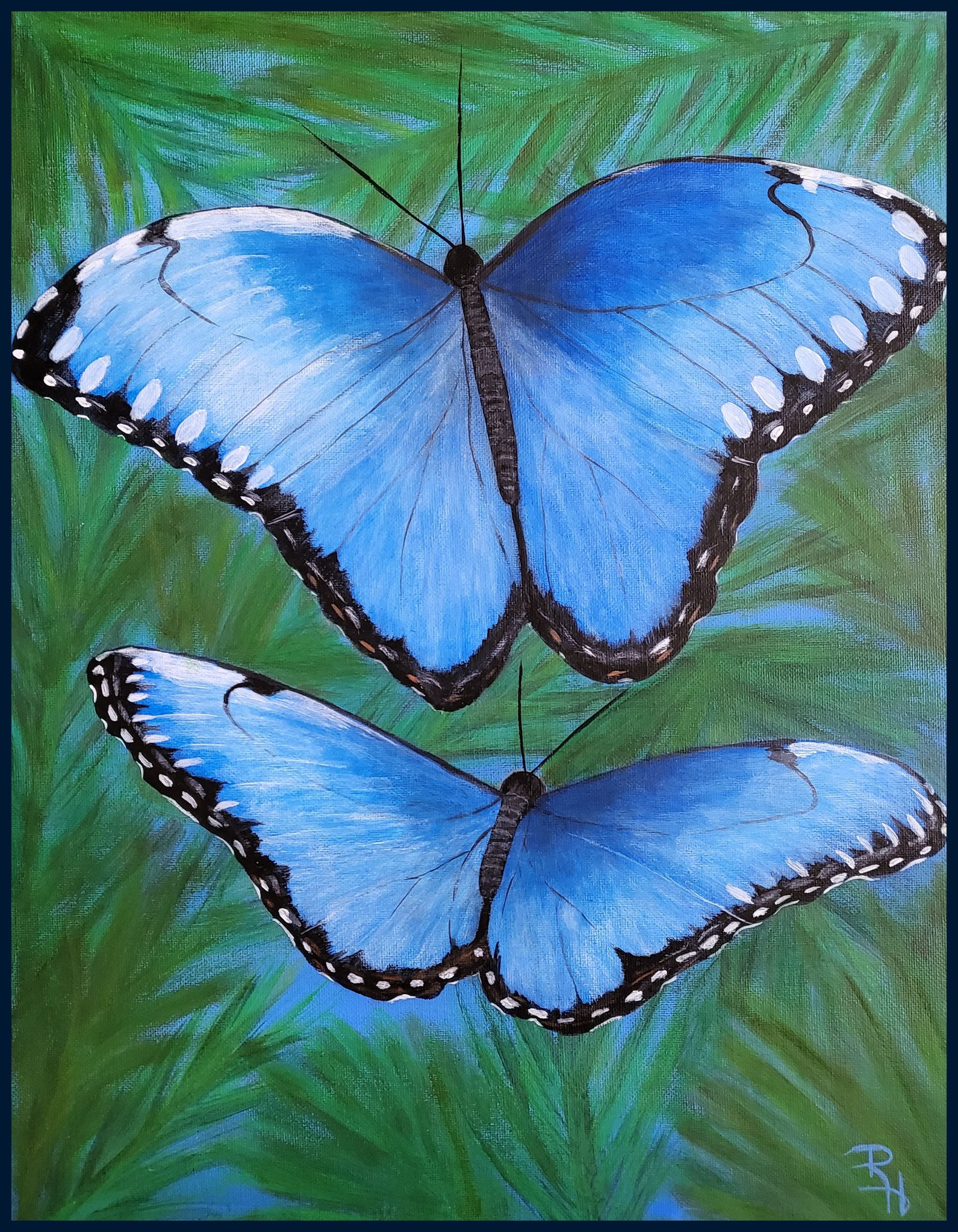 Colored pencil blue morpho butterfly drawing