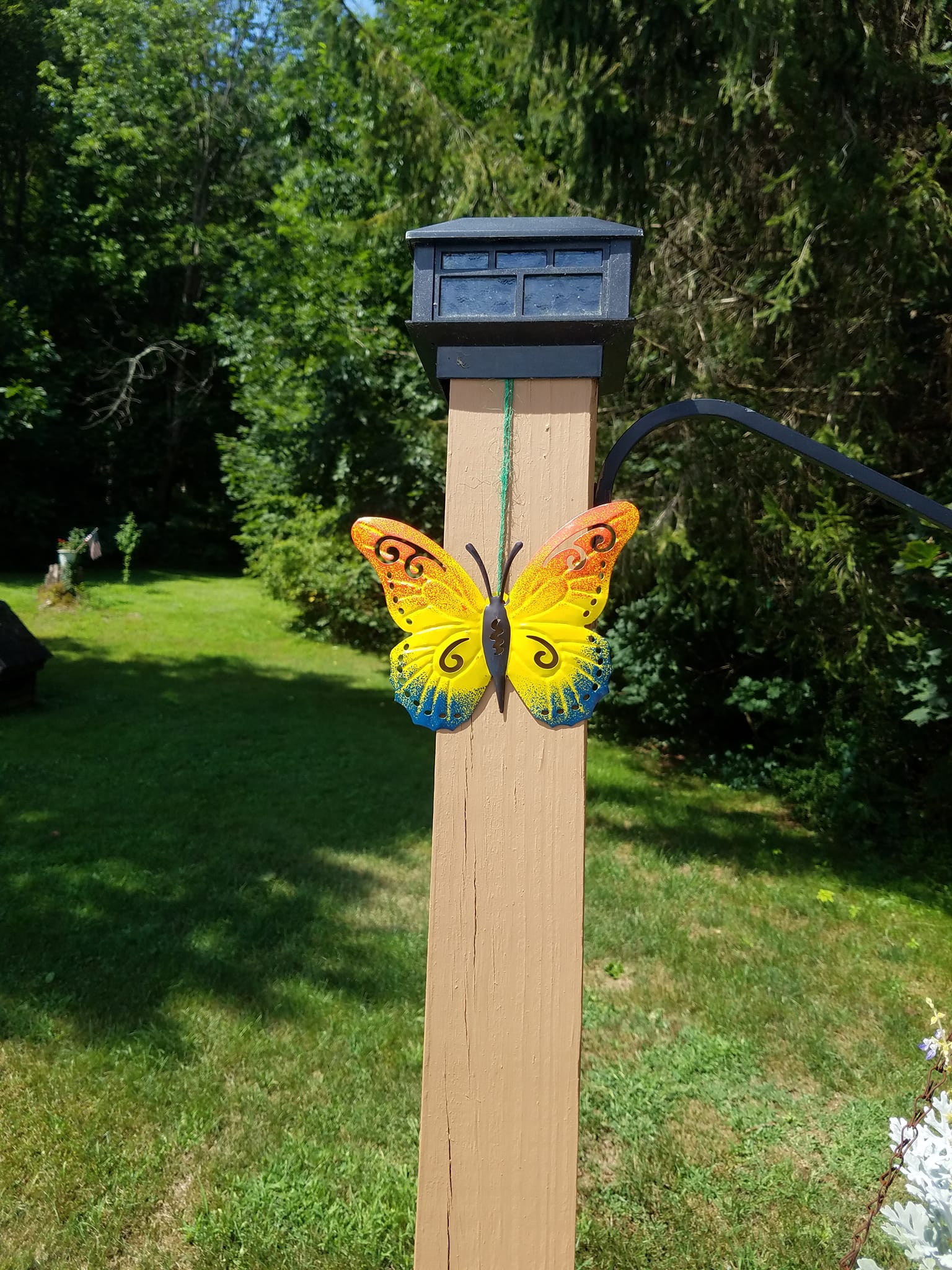 butterfly patio umbrella Garden this enchanting design not only shields you from the elements but also brings a sprinkle of joy and color to dreary days YAZAOO One-Touch Auto Open Close