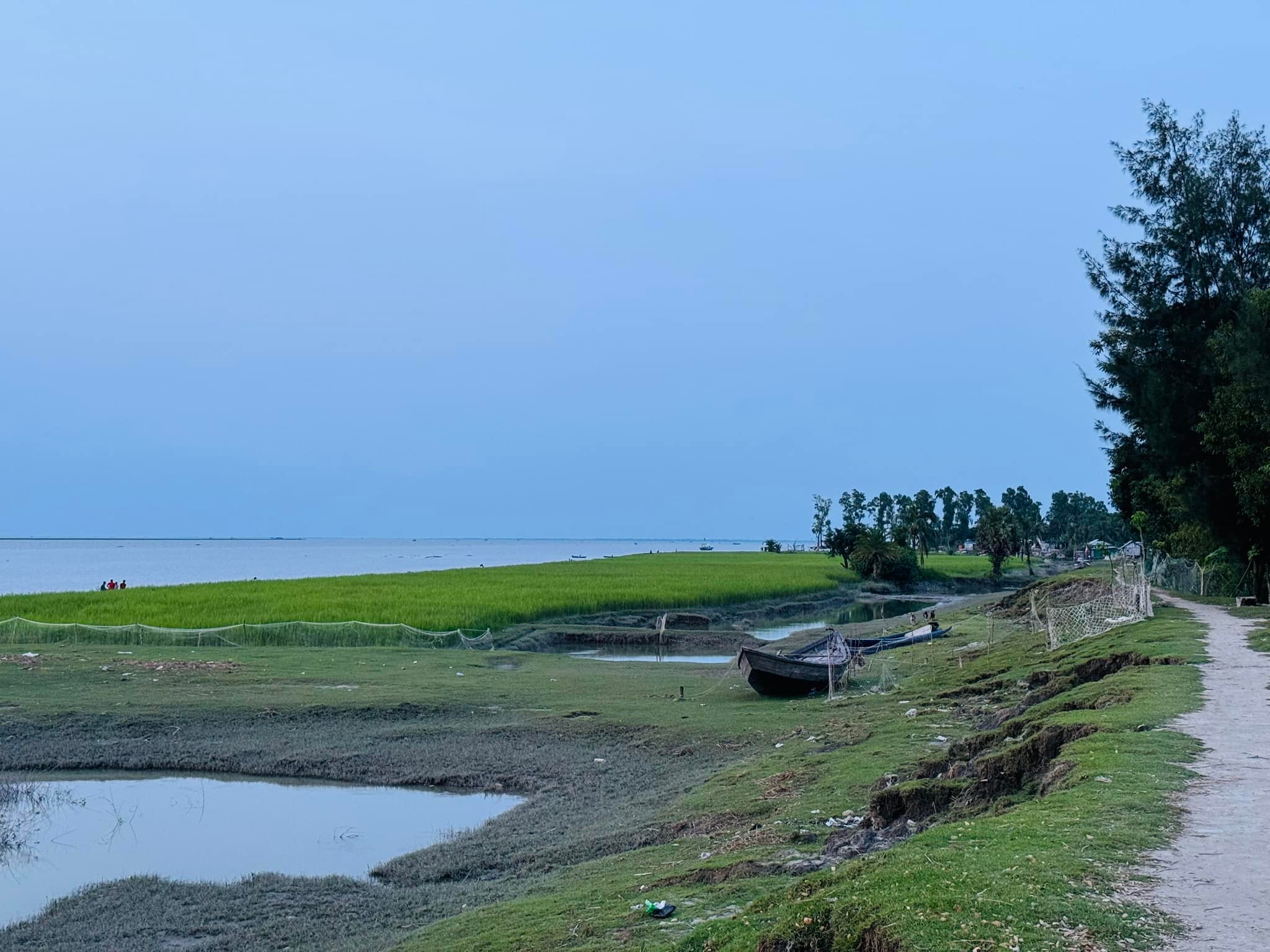 Touhid Al Rajib