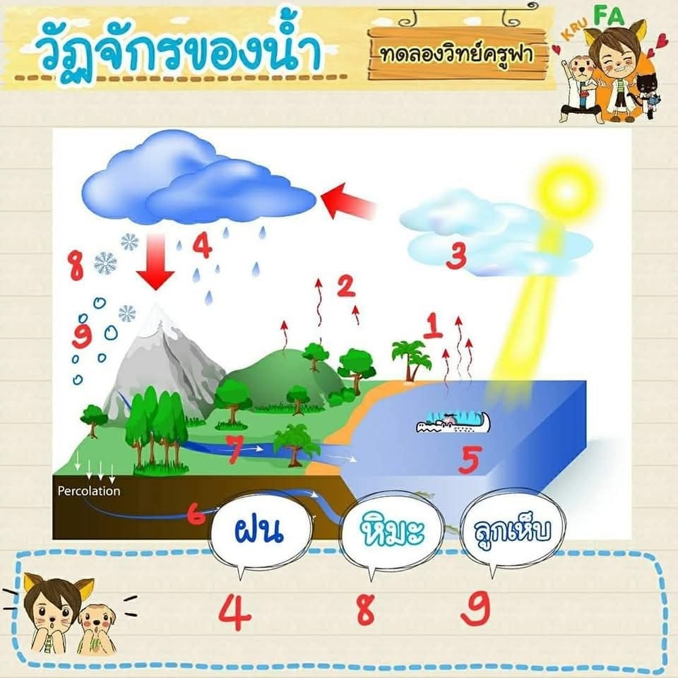 ทดลองวิทย์ครูฟา - ทดลองวิทย์ครูฟา added a new photo.