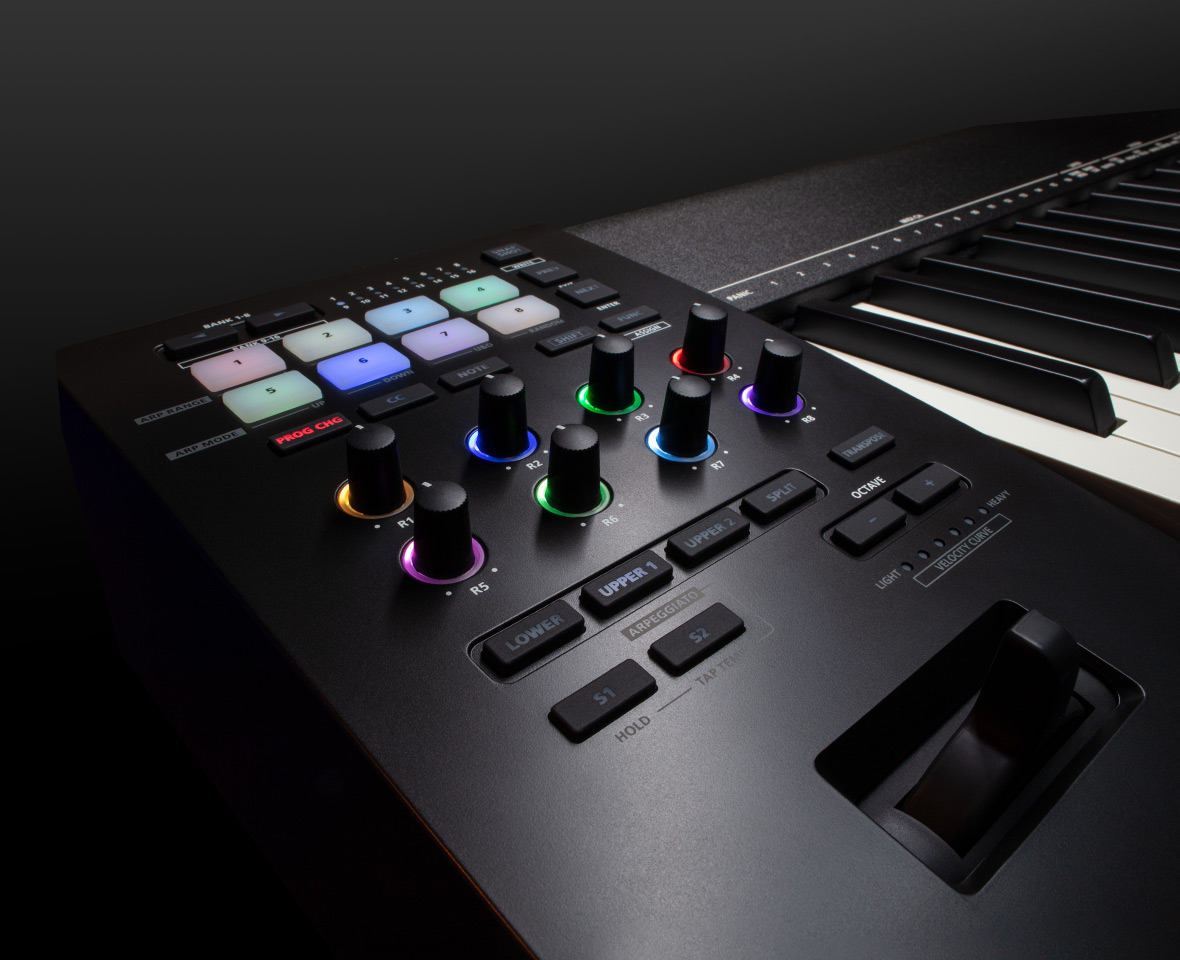 Meet the Roland A-800 Pro R 61 keys midi controller 🖤 🎹 #roland