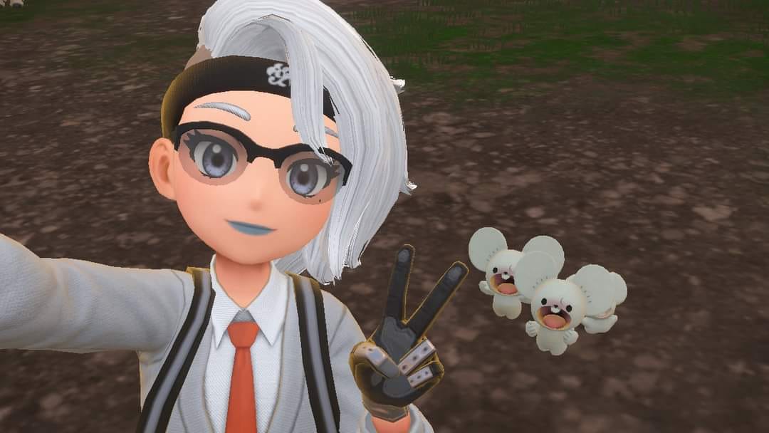 Evolution of Tandemaus to Maushold in Pokemon GO